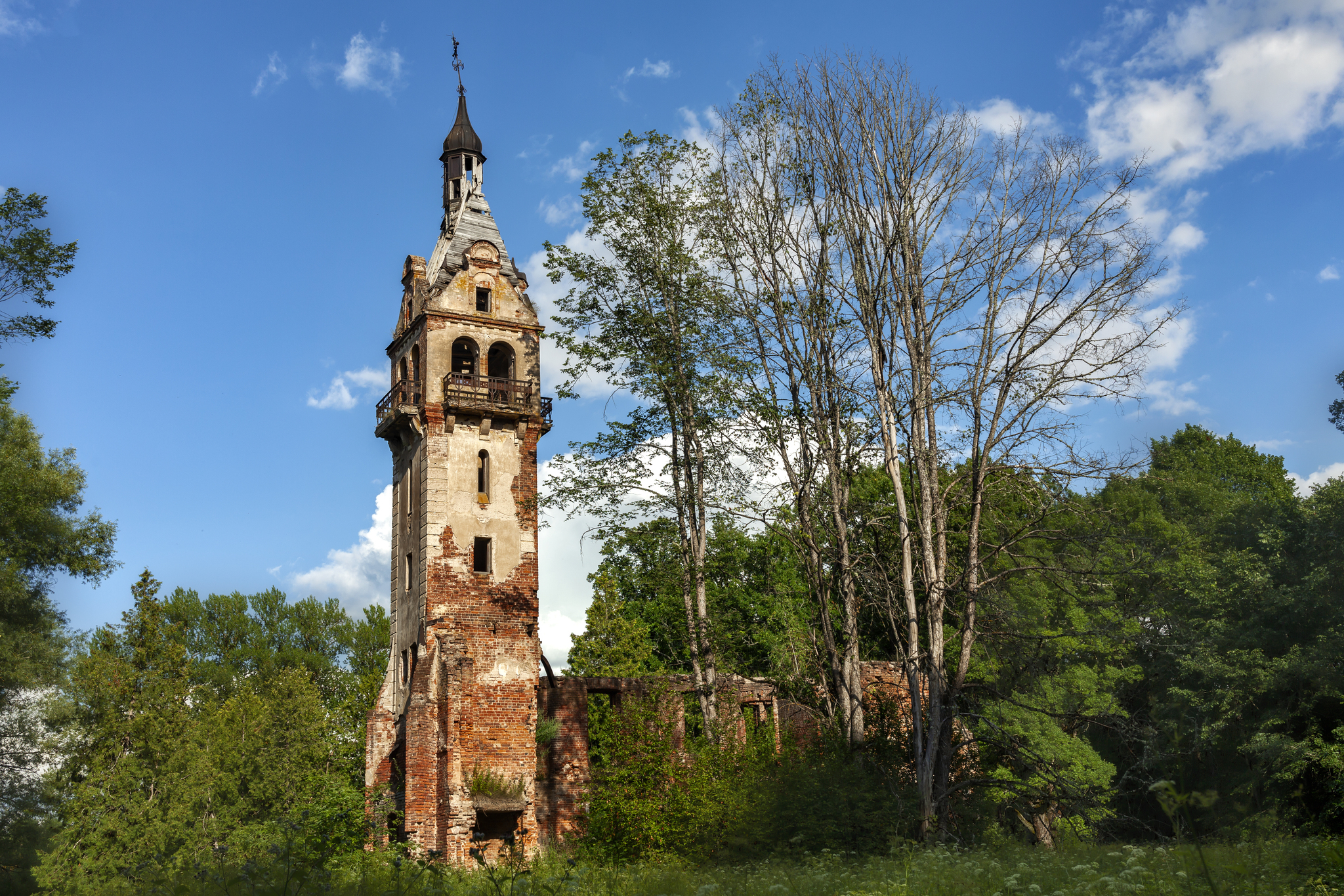 Tower of Rapunzel in the Novgorod forests - My, The photo, Sky, Nature, Forest, Summer, Tower