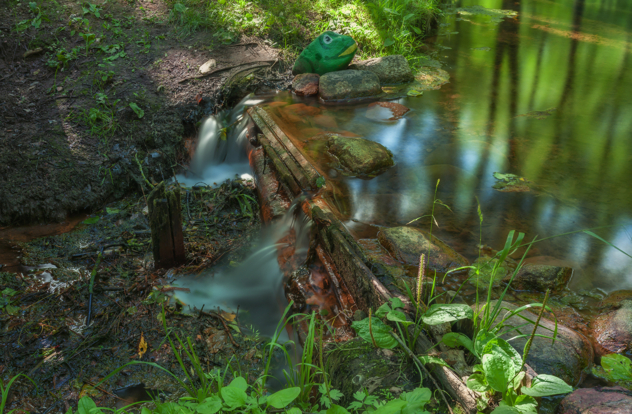 Park-estate Gorki - My, Nature, The photo, Lake, Water, Summer, The park, Relaxation