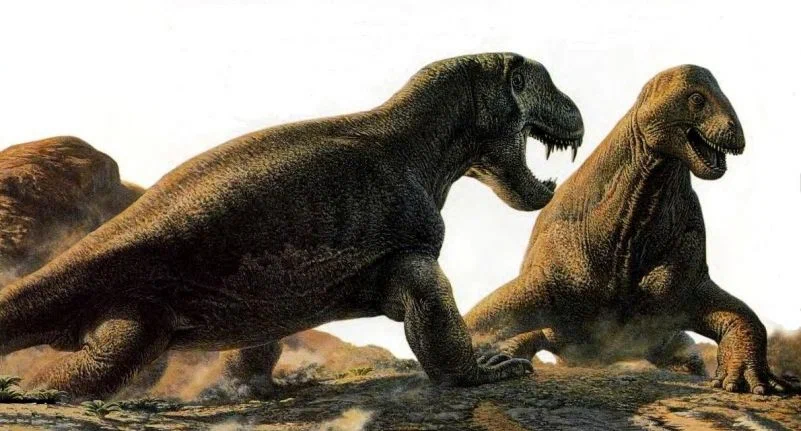 Anteosaurus: Oppressed even those who were evolutionarily more advanced than him. This alpha predator hunted the largest animals of the Permian period - Dinosaurs, Extinct species, Paleontology, Around the world, Animal book, Longpost