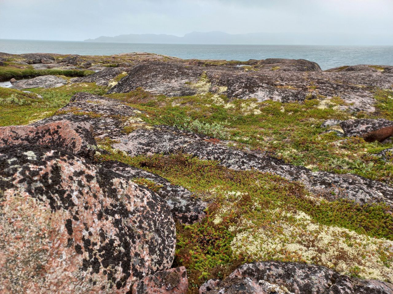 Teriberka - Teriberka, Murmansk region, Tundra, Barents Sea, Longpost