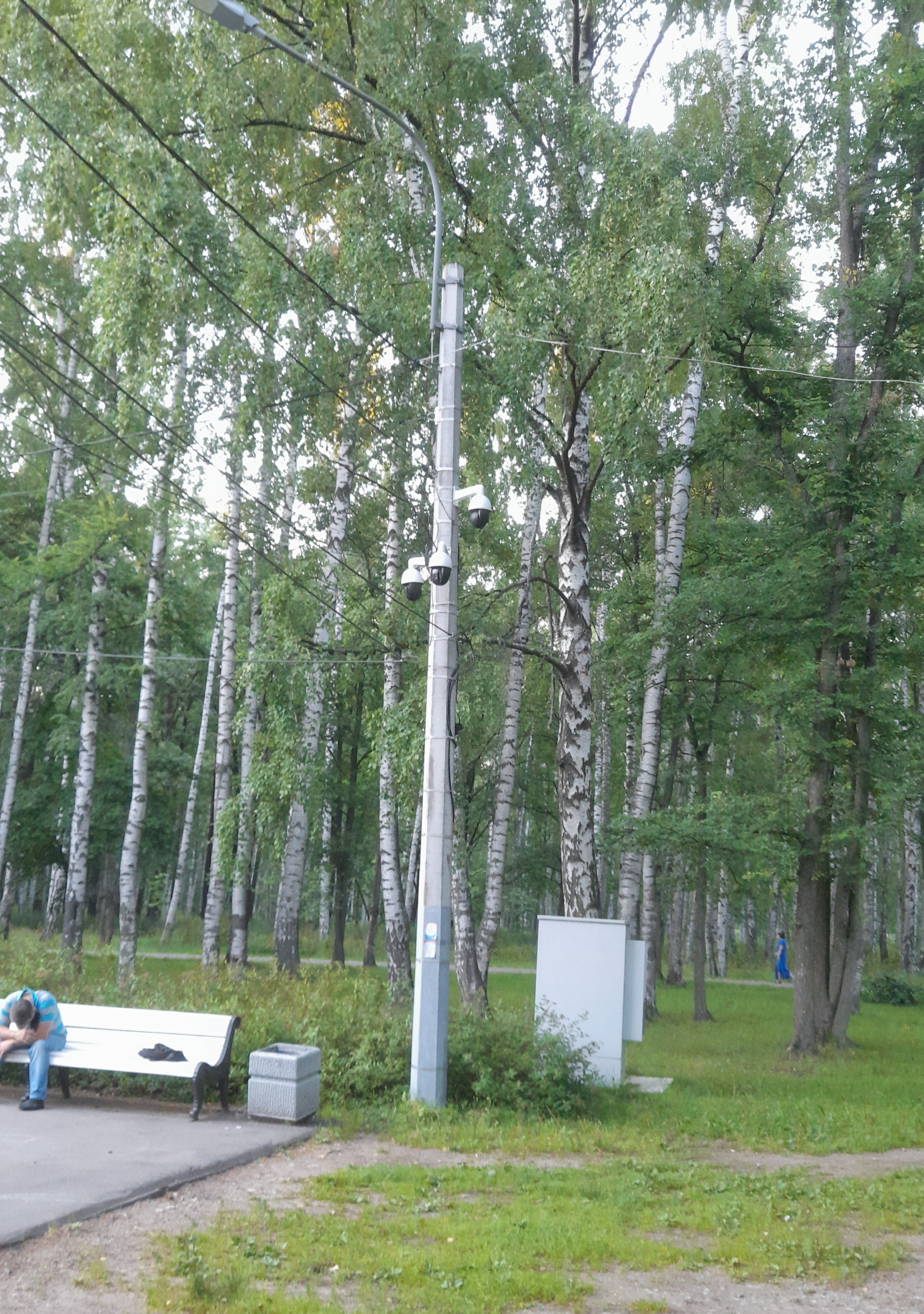 So that the grannies do not plan anything ... - My, Saint Petersburg, Specific Park, Camera, Mat, Longpost, Fixation chamber