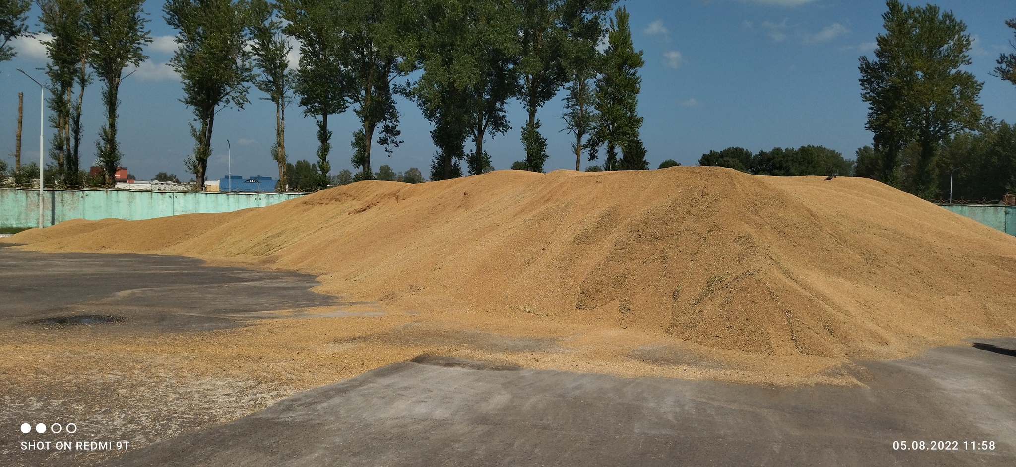 The harvest is gone. Open the gate! - Republic of Belarus, Harvest, Crops, Vegetables, Potato, Сельское хозяйство, Longpost