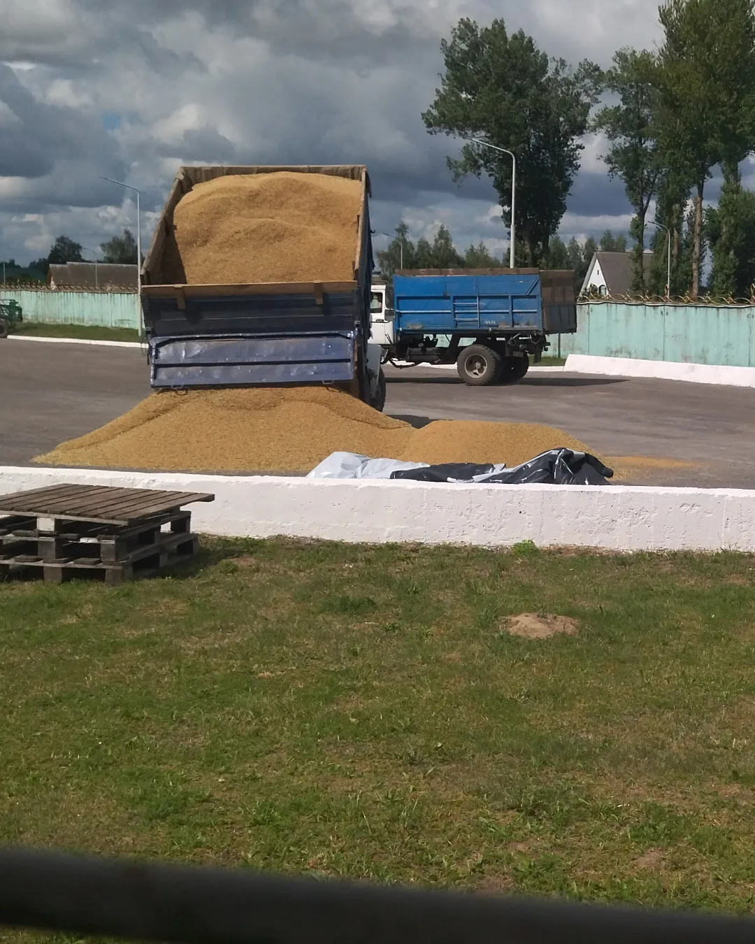 The harvest is gone. Open the gate! - Republic of Belarus, Harvest, Crops, Vegetables, Potato, Сельское хозяйство, Longpost