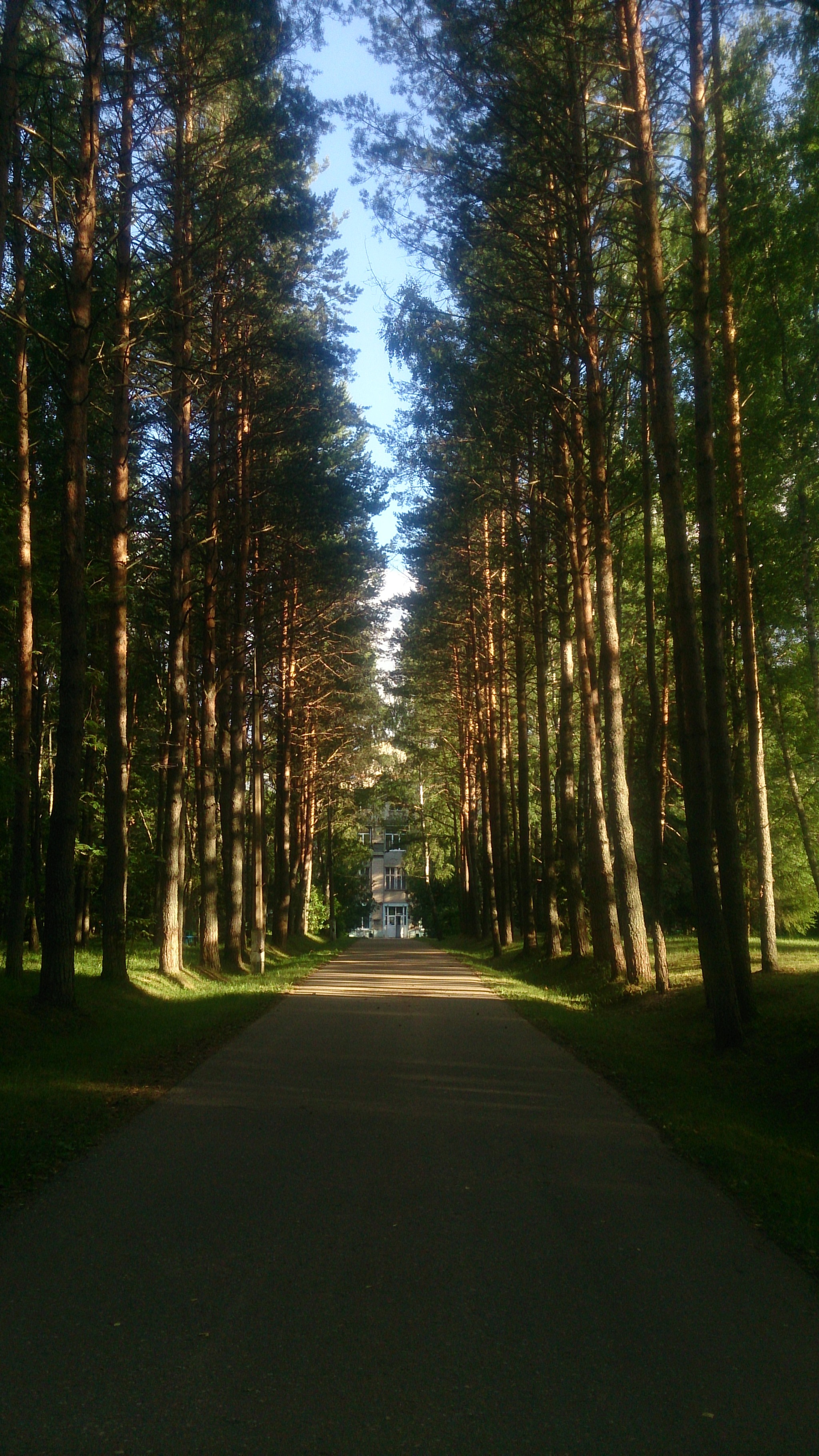 Parting - Mobile photography, Dorokhovo, Sanatorium