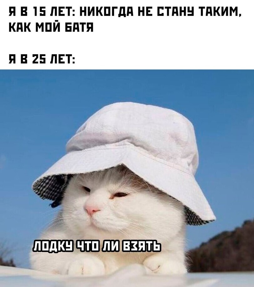 fisherman fisherman - Picture with text, Memes, cat