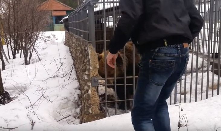 Хищник-аутист. Почему все так восхищаются новым фильмом? - Моё, Хищник (фильм), Фильмы, Обзор, Отзыв, Боевики, Рецензия, Добыча, Новинки кино, Длиннопост