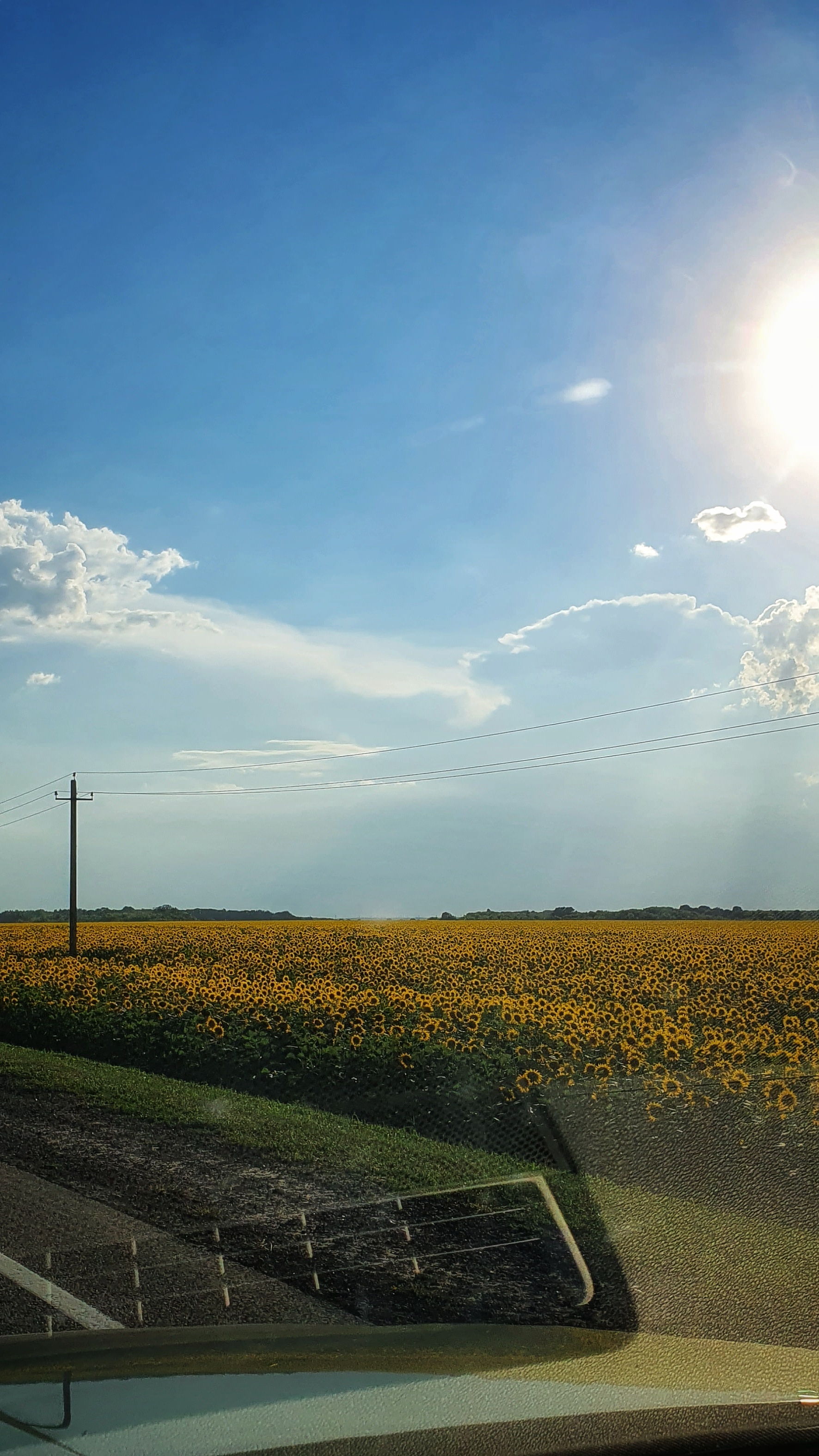 An unexpected journey. Part last. Nizhny Novgorod - Voronezh - My, Summer, Drive, Diveyevo, Arzamas, Sunflower, Road signs, Church, Tambov Region, Longpost, The photo