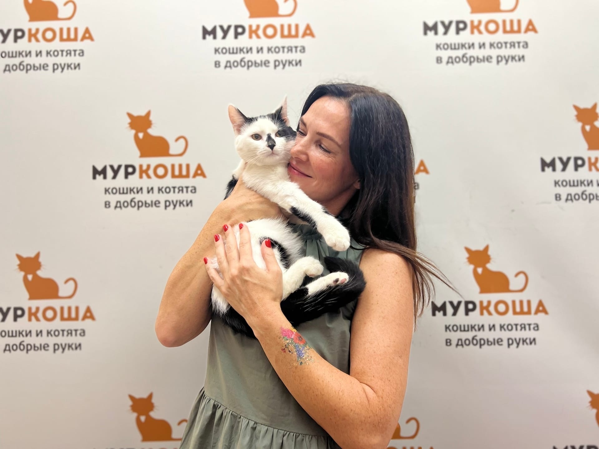 We are happy to share our successes with you. - My, Murkosh shelter, Animal shelter, cat, Making the World Better, Found a home, Positive, Vertical video, Video, Youtube, Longpost, Touching