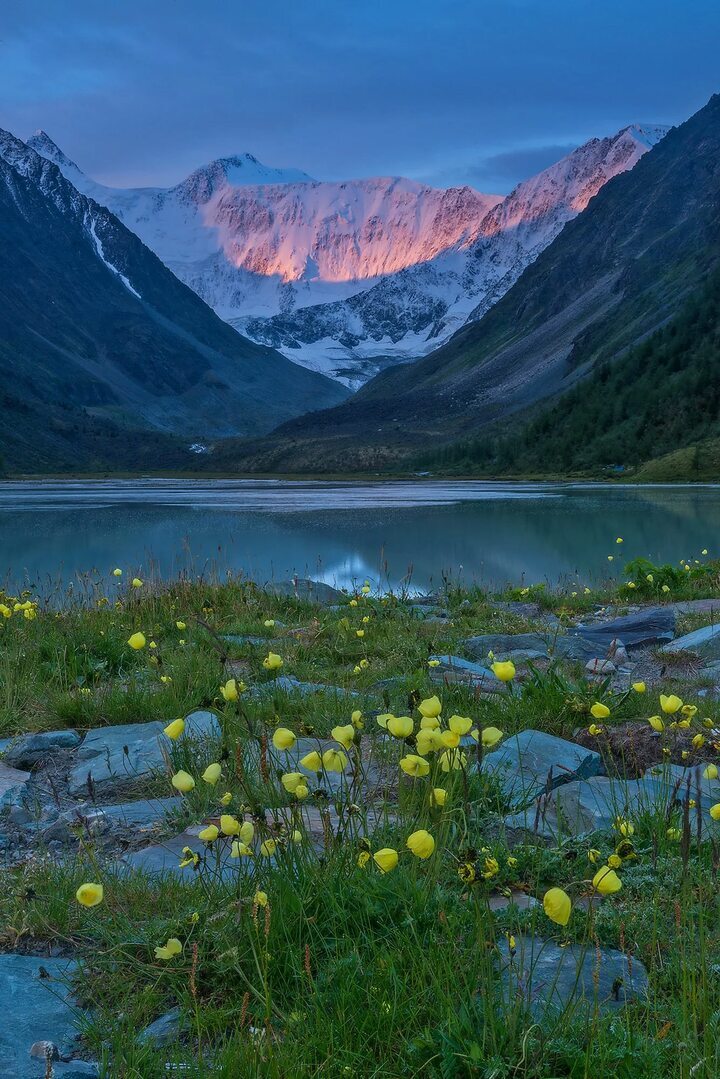 Mountain Altai. Mount Belukha - Altai Mountains, Altai Republic, beauty of nature, Russia, Longpost