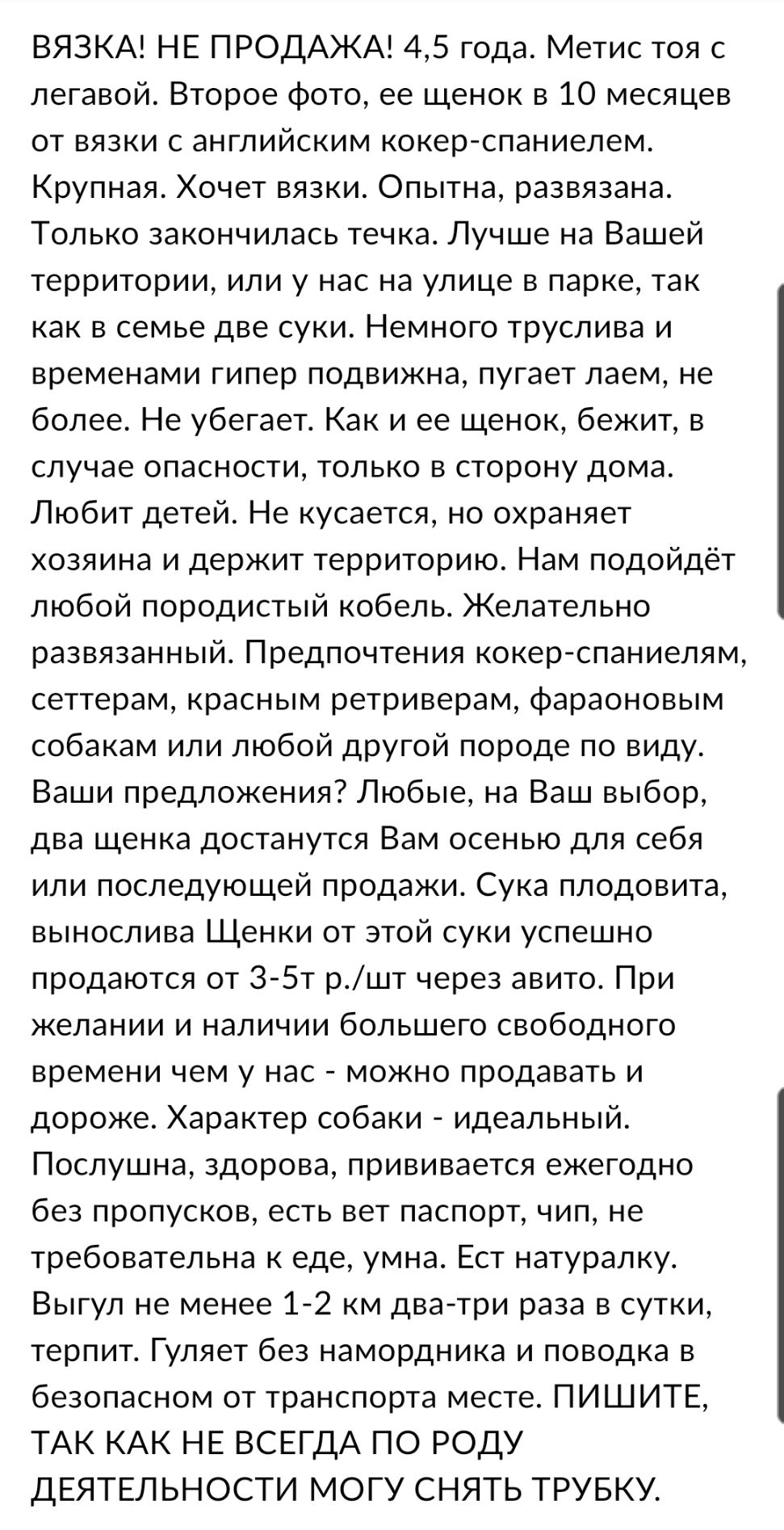 Стерилизация? Не, не слышал - Моё, Собака, Разведение, Негодование, Длиннопост