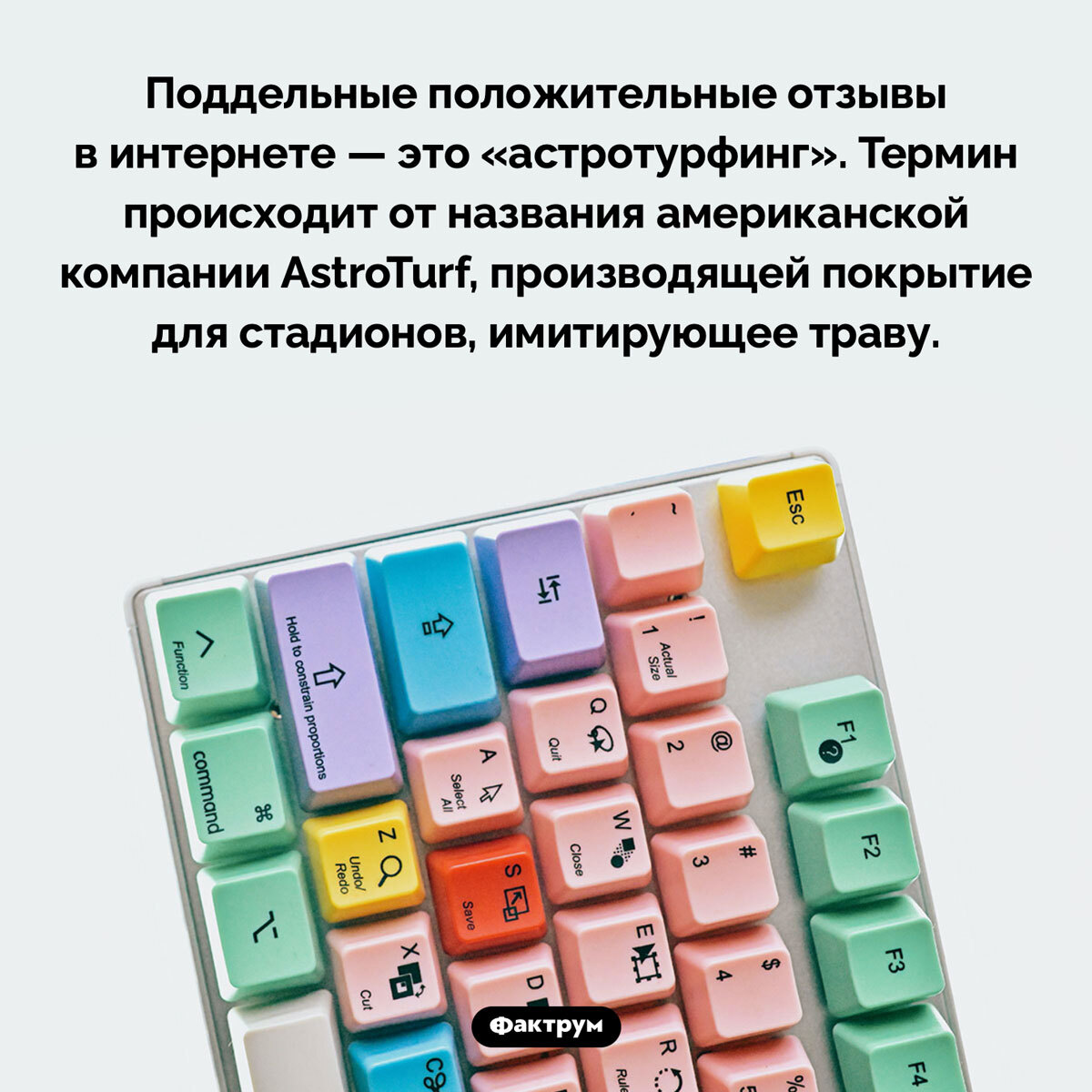 Подборка интересных фактов № 97 - Познавательно, Картинка с текстом, Факты, Подборка, Фактрум, Длиннопост