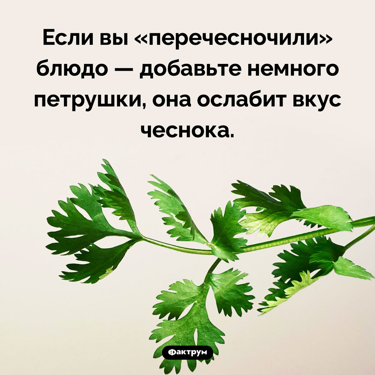 Подборка интересных фактов № 97 - Познавательно, Картинка с текстом, Факты, Подборка, Фактрум, Длиннопост