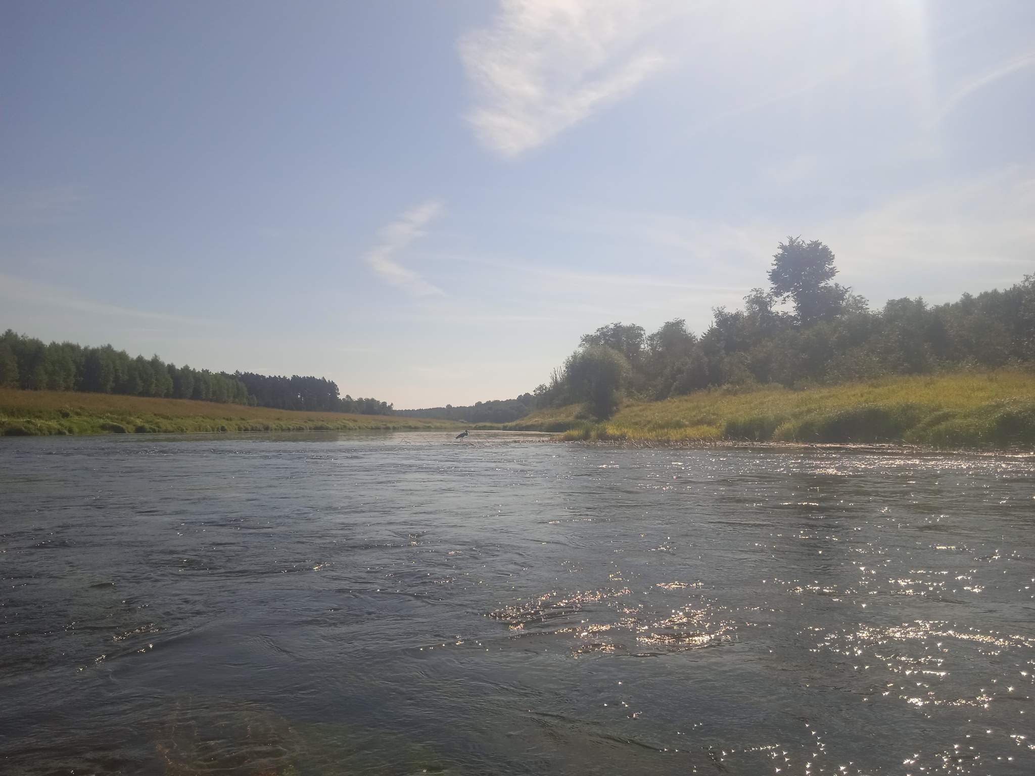 Ugra river - My, Ugra River, River rafting, beauty of nature, Longpost, The photo