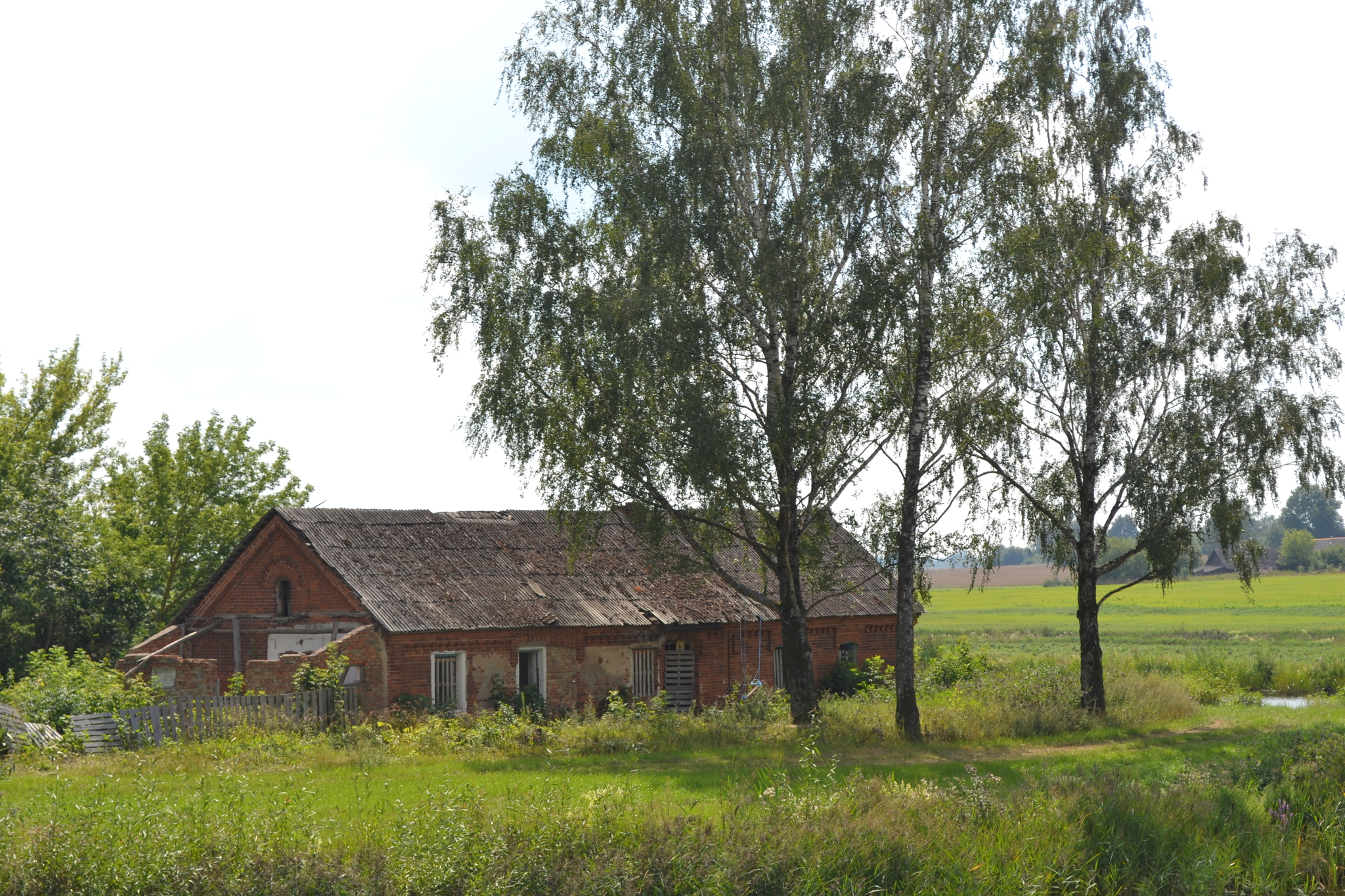 Abandoned estate Yelensky | Tucha village | Belarus - My, Republic of Belarus, sights, Story, Monument, Video, Youtube, Longpost, Abandoned