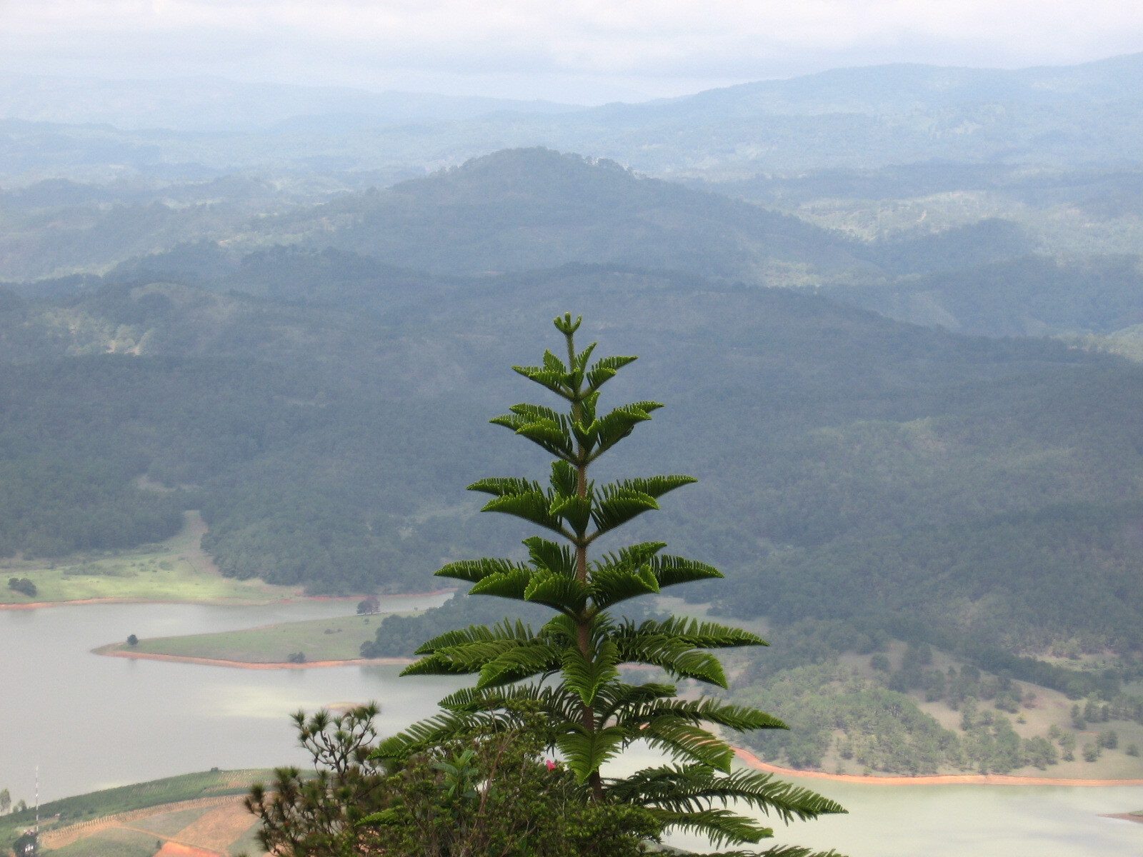 Mount Romeo and Juliet from Dalat - sights, The culture, Informative, Traditions, The mountains, Vietnam, Dalat, Asia, Tourism, Legend, Travels, Longpost