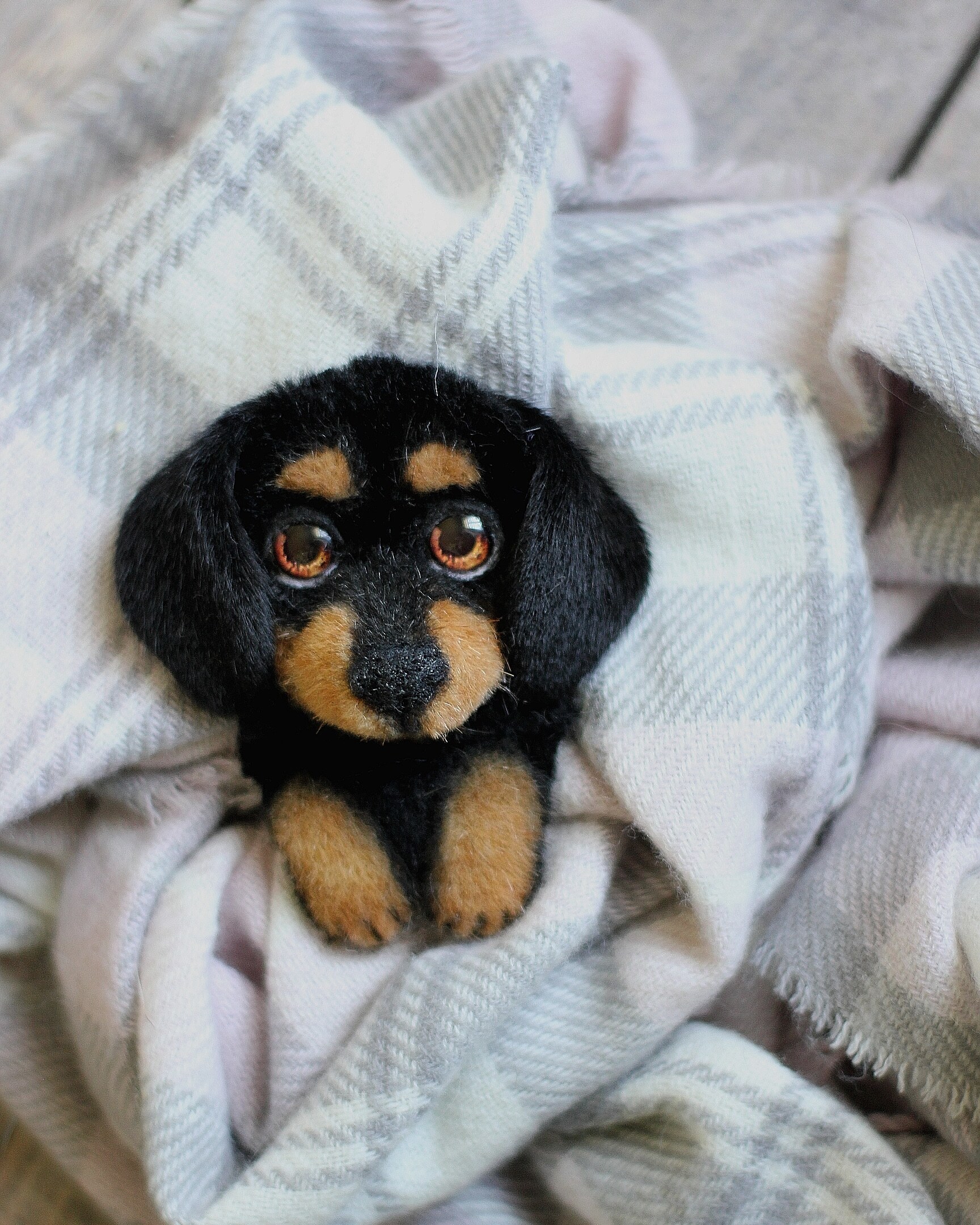 Brooches on the photo of pets - My, Needlework without process, Handmade, cat, Brooch, Dog, Dachshund, Husky, Longpost