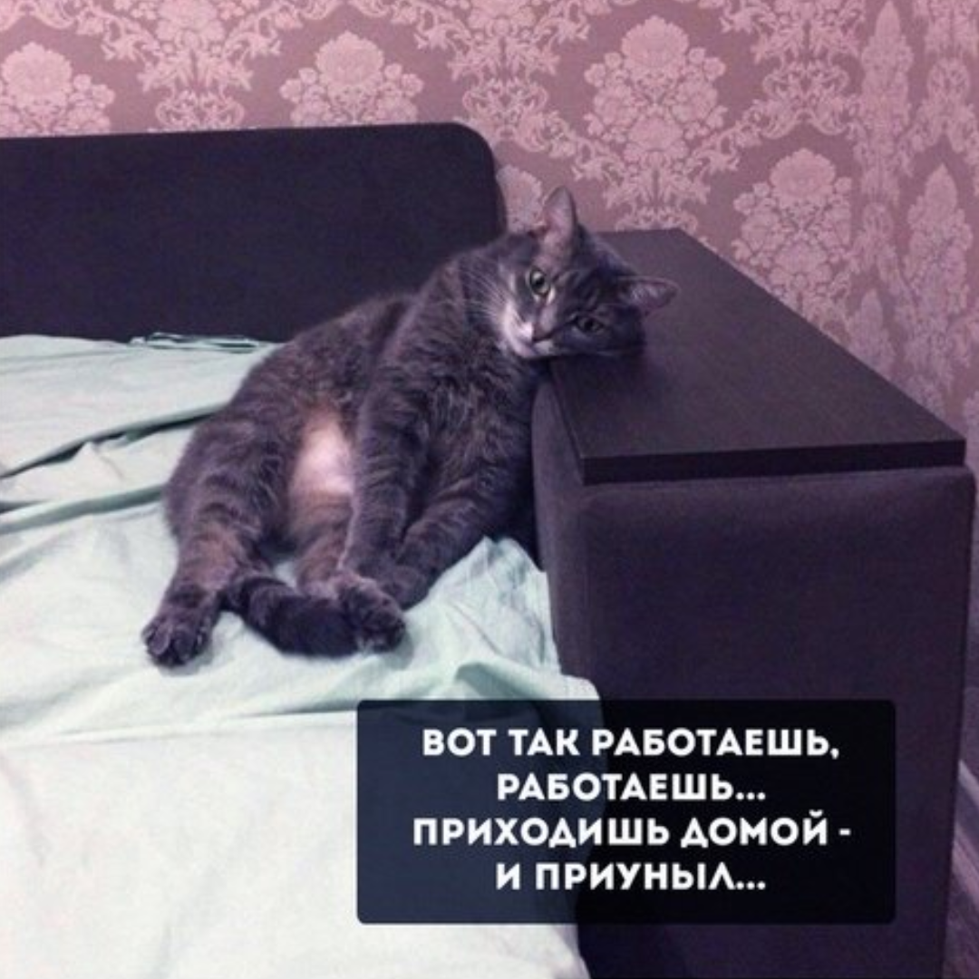 Рутина рутинная... | Пикабу