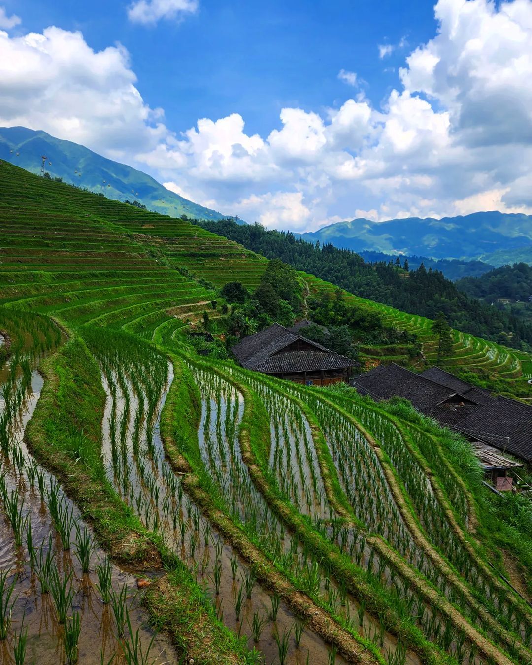 Longji Rice Terraces - My, China, Rice terraces, The photo, Mobile photography, Travels, Nature, Asia, Longpost