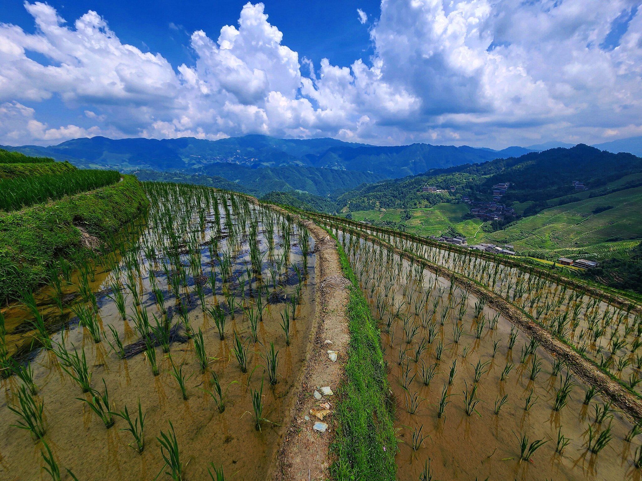 Longji Rice Terraces - My, China, Rice terraces, The photo, Mobile photography, Travels, Nature, Asia, Longpost