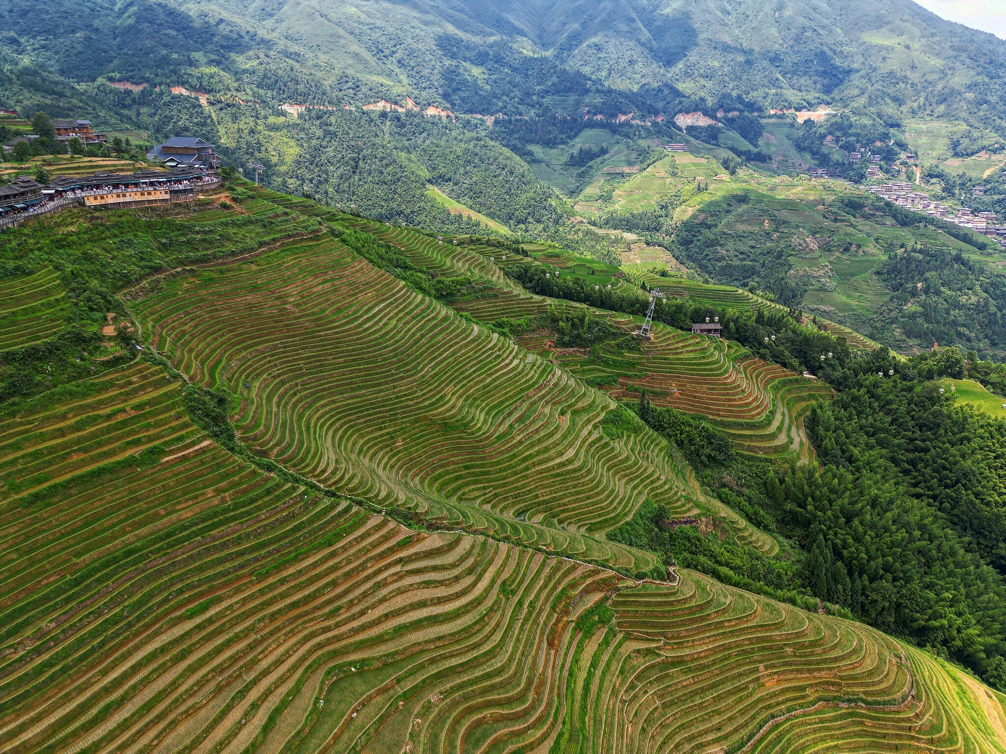 Longji Rice Terraces - My, China, Rice terraces, The photo, Mobile photography, Travels, Nature, Asia, Longpost