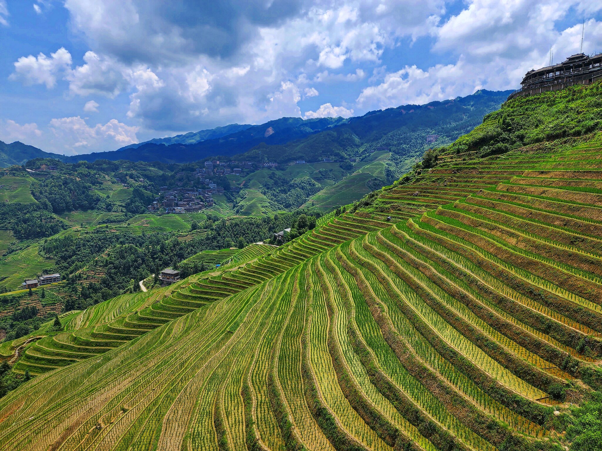 Longji Rice Terraces - My, China, Rice terraces, The photo, Mobile photography, Travels, Nature, Asia, Longpost