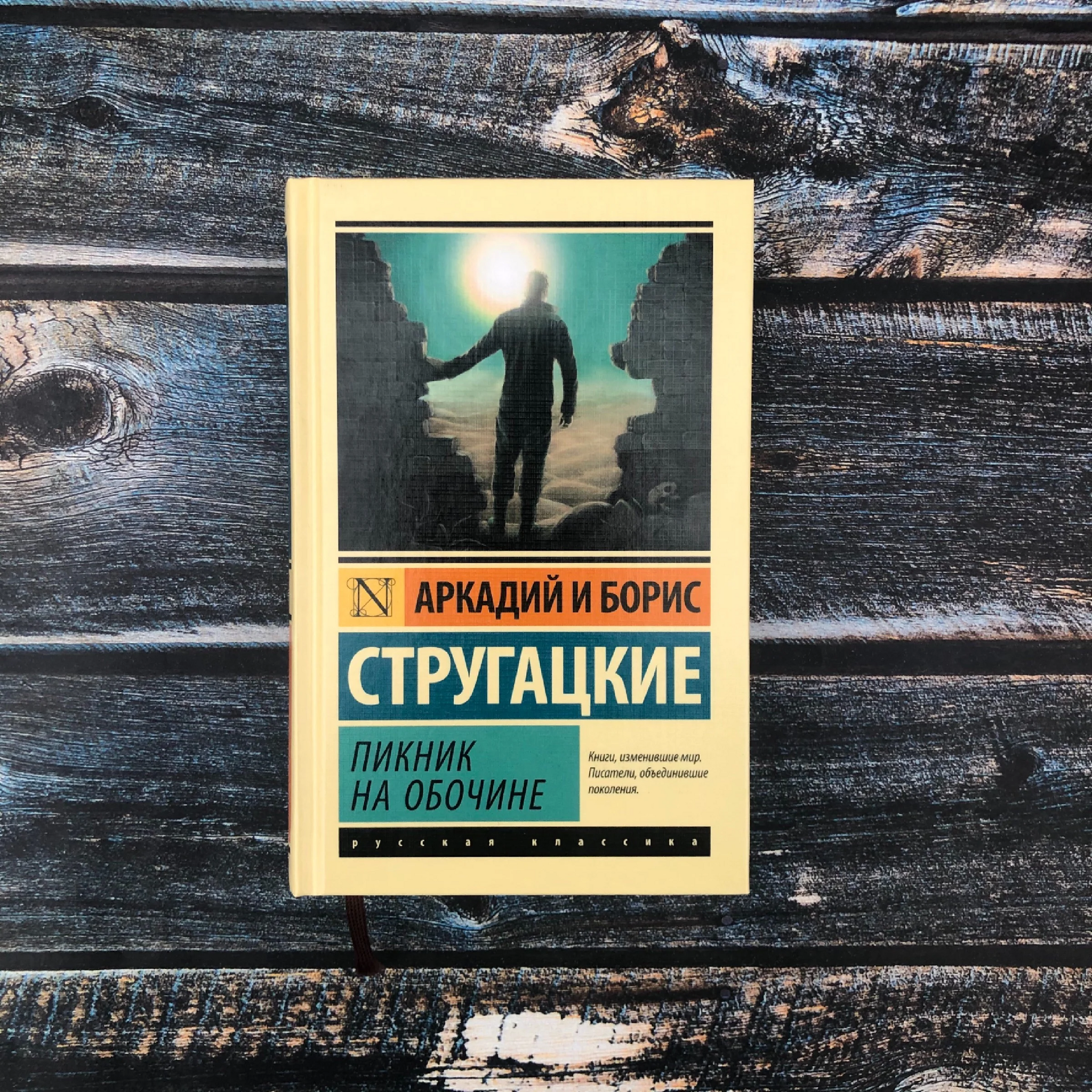 Go your own way, stalker. Masterpiece of the Strugatsky brothers - My, What to read?, Review, Reading, Literature, Books, Strugatsky, Stalker, Roadside Picnic, Longpost, Book Review