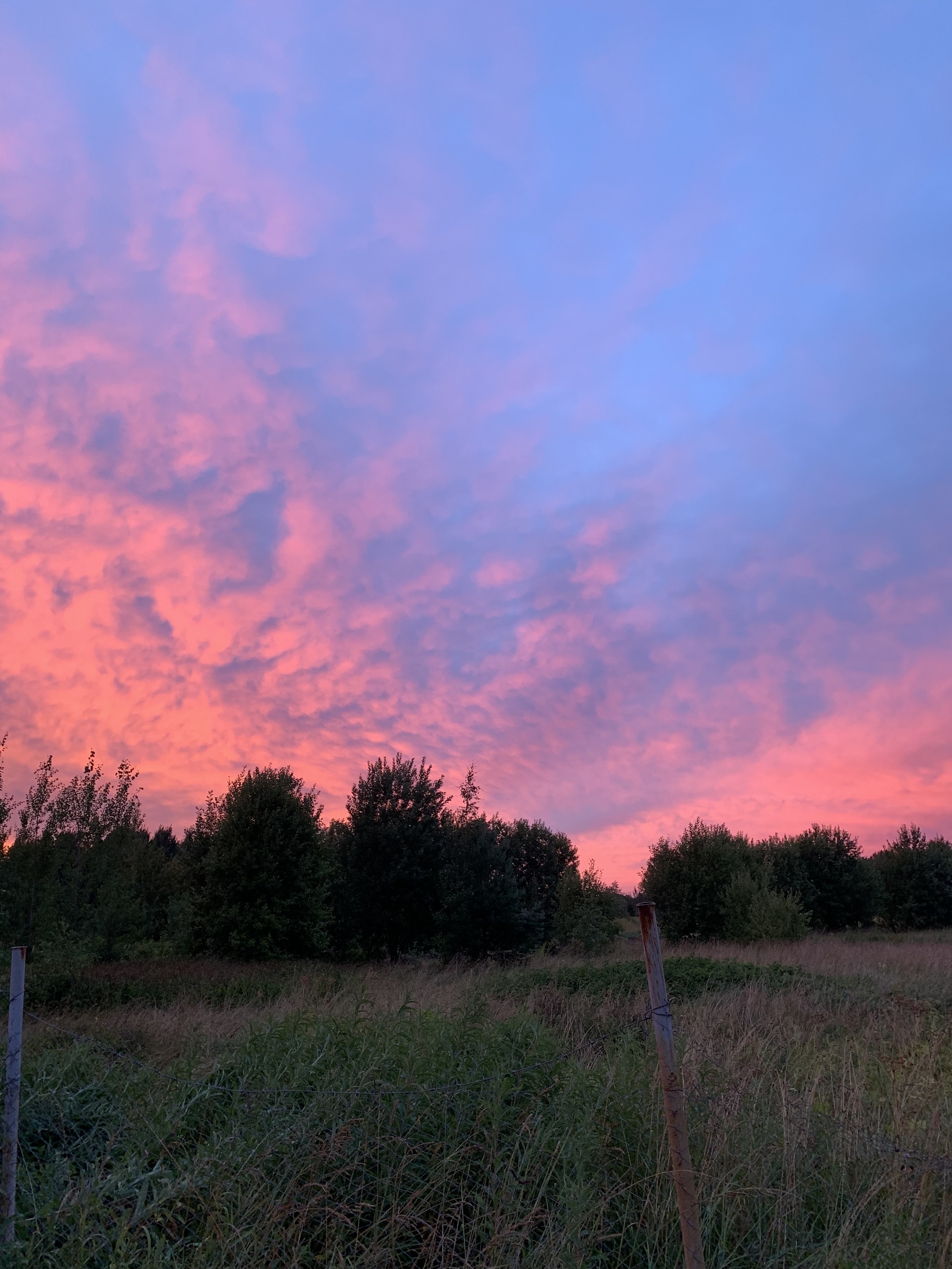 evening sky - Evening, Sky, The photo, Clouds