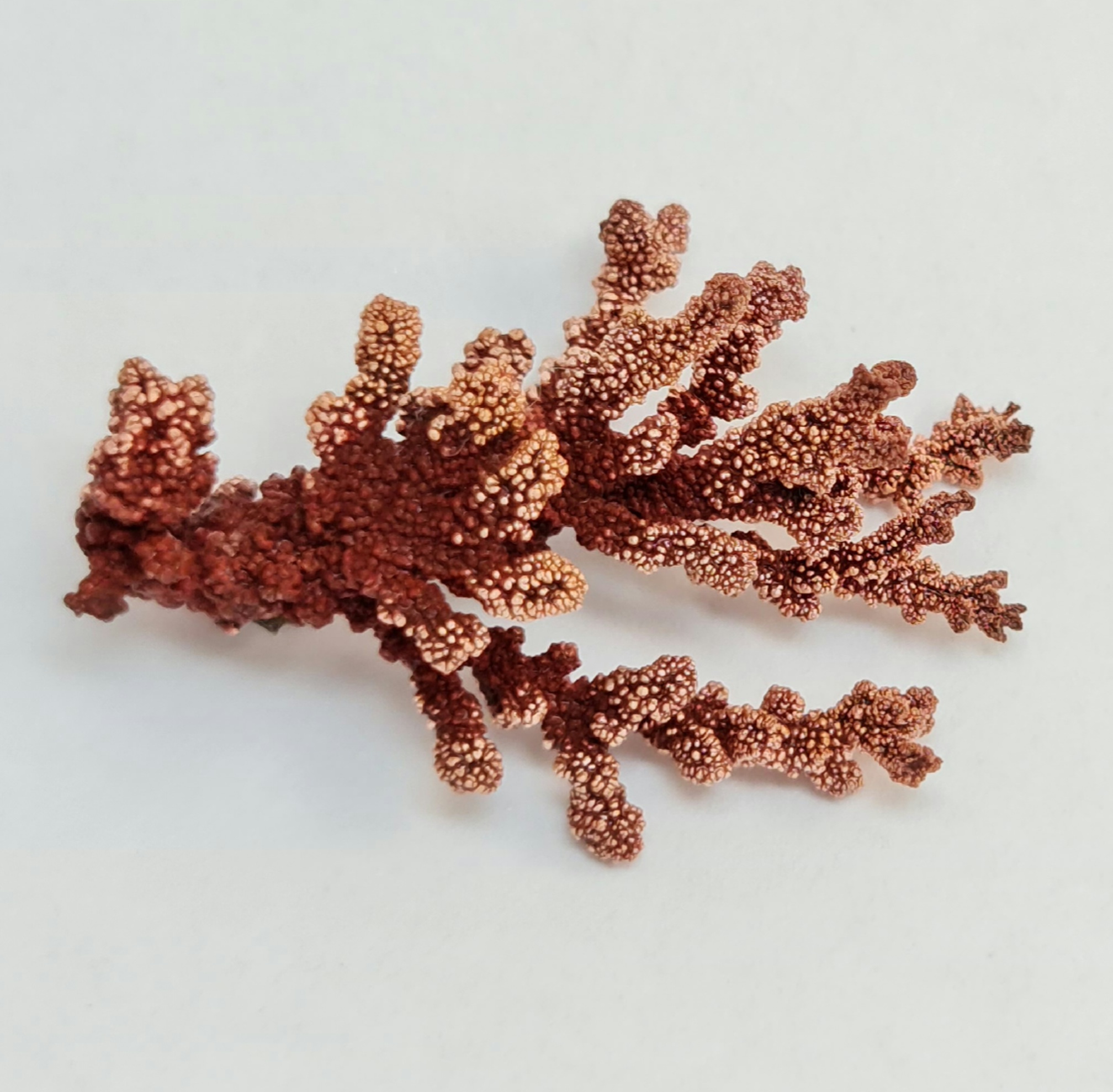 Compilation of copper dendrites - My, Needlework without process, Copper, Dendrite, Crystals, Longpost