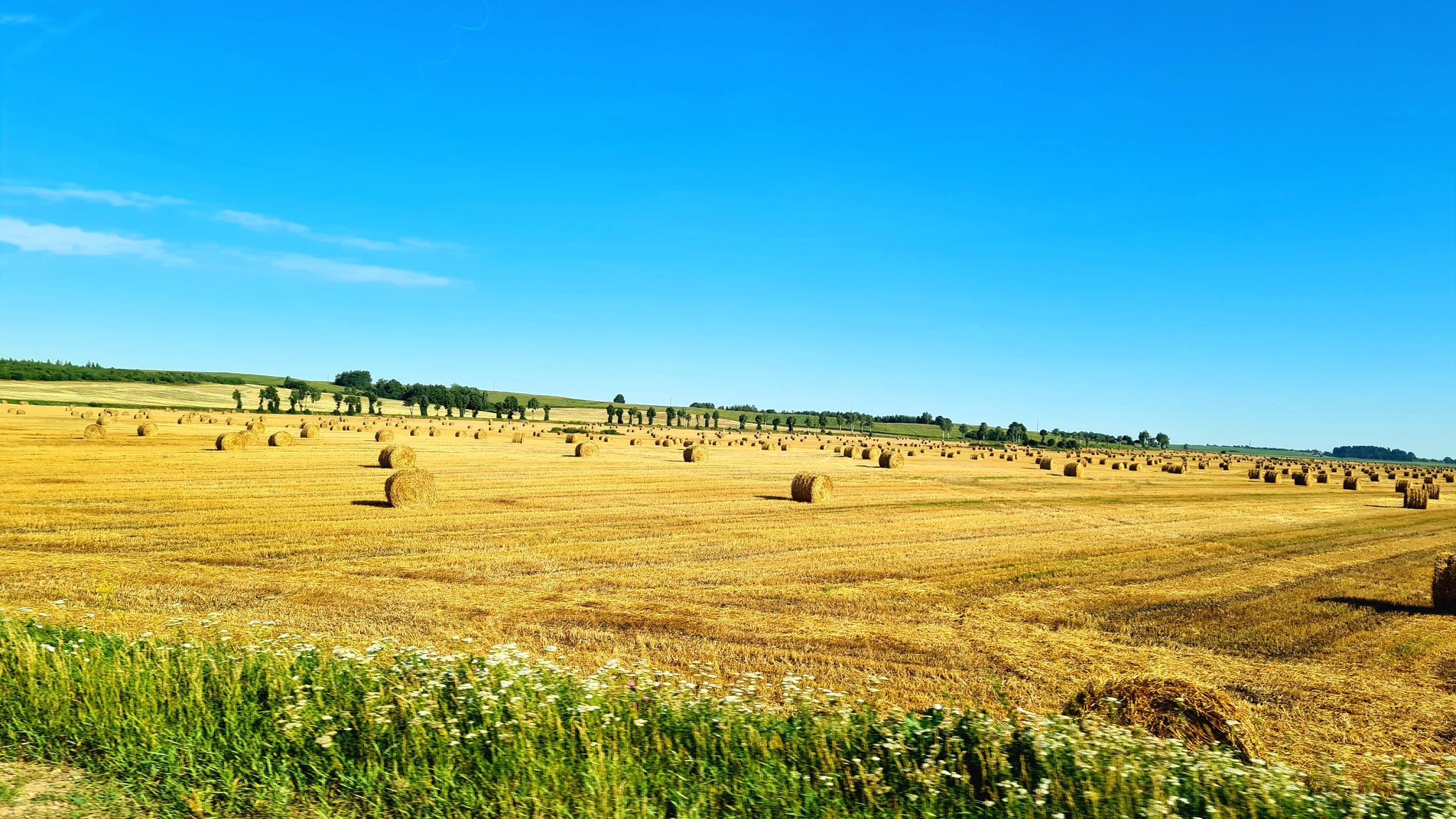 Road 4 - Road, beauty, Nature, Republic of Belarus, Field