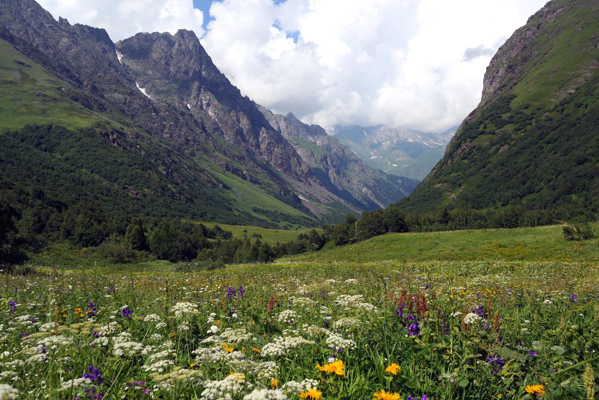 Кавказский государственный природный биосферный заповедник8