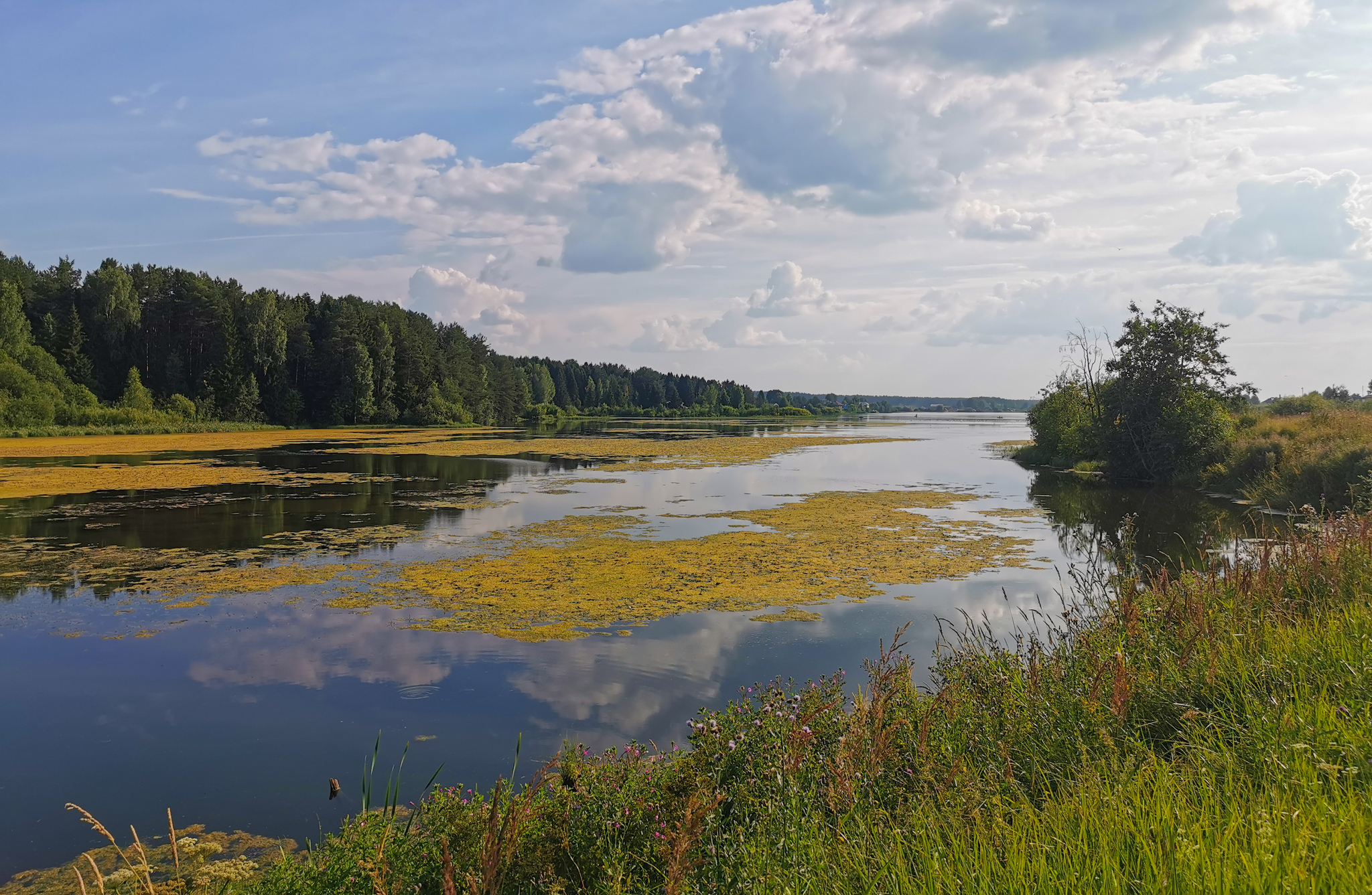 Donations for Pikabu became more accessible! - My, Donut, Peekaboo, Money, Run, Kirov, Vyatka, Workout, Longpost, Nature, The photo