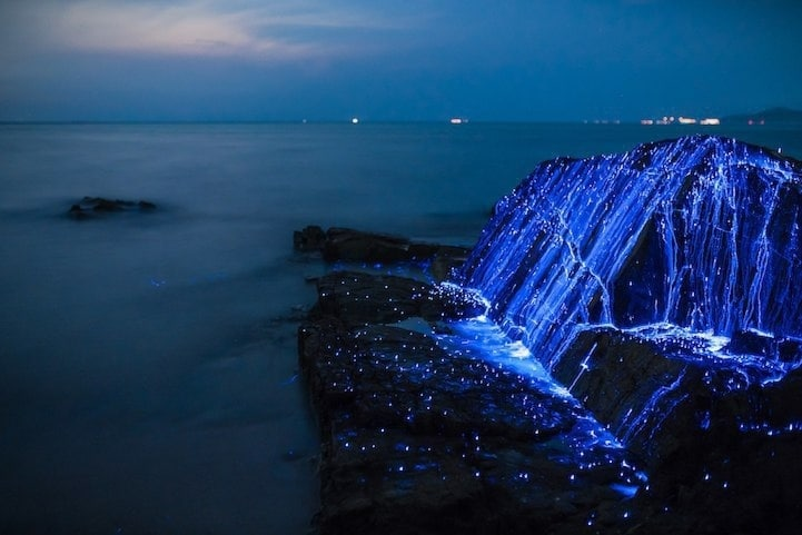 Weeping stones, Japan - Bioluminescence, Shrimps, Long exposure, Sea, Shore, Longpost, The photo