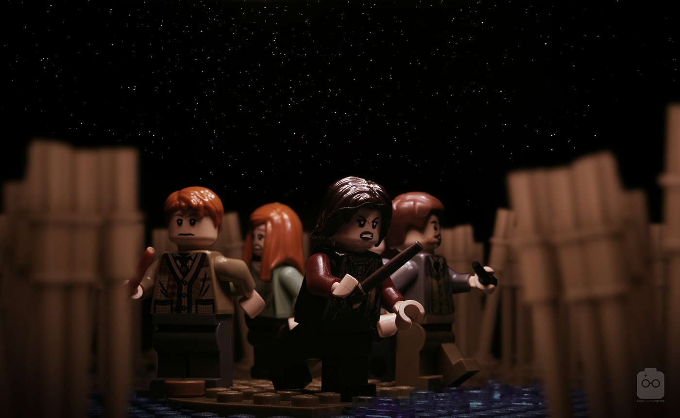 Harry Potter and the Order of the Phoenix + Half-Blood Prince - Lego, Harry Potter, Harry Potter and the Order of the Phoenix, Harry Potter and the Half-Blood Prince, Hermione, Albus Dumbledore, Ron Weasley, Dolores Umbridge, Centaur, Memory Pool, Phoenix, Continued in the comments, Longpost