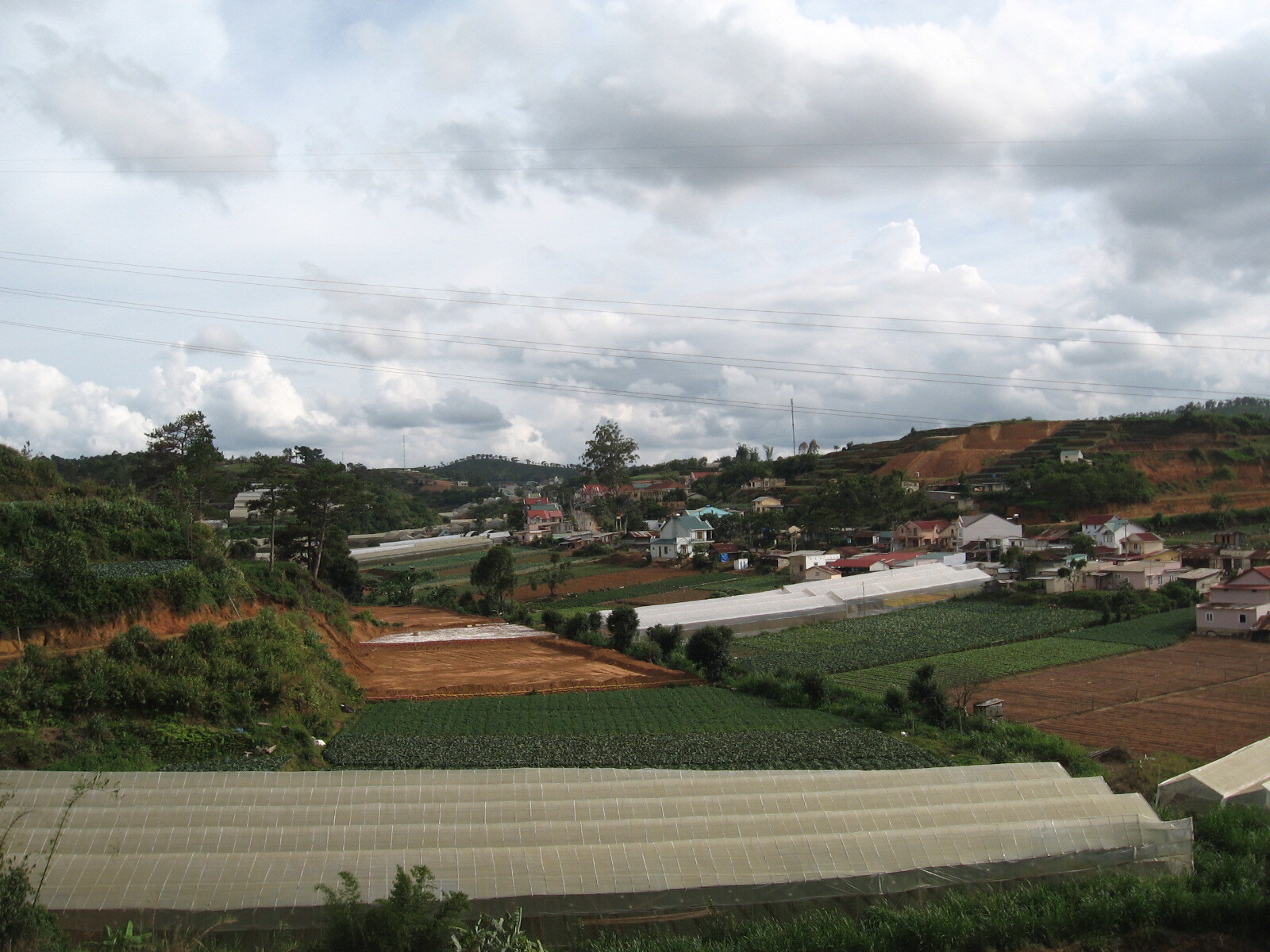 Dalat, city of sadness and joy - sights, Buddhism, Church, The culture, Informative, Vietnam, Tourism, Travels, Nature, Dalat, Longpost