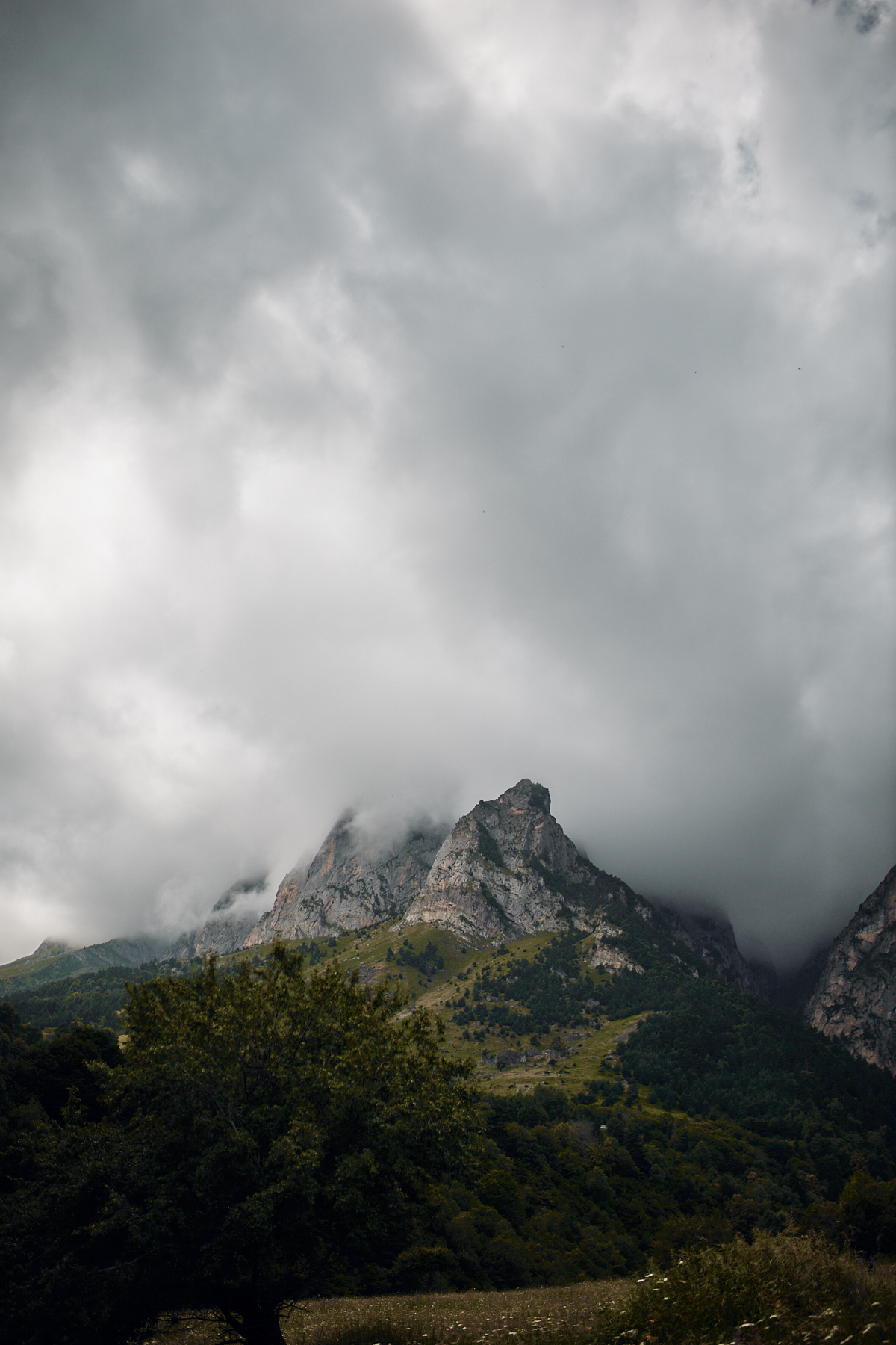 In the vastness of Ingushetia and North Ossetia - My, The photo, Landscape, Forest, Longpost