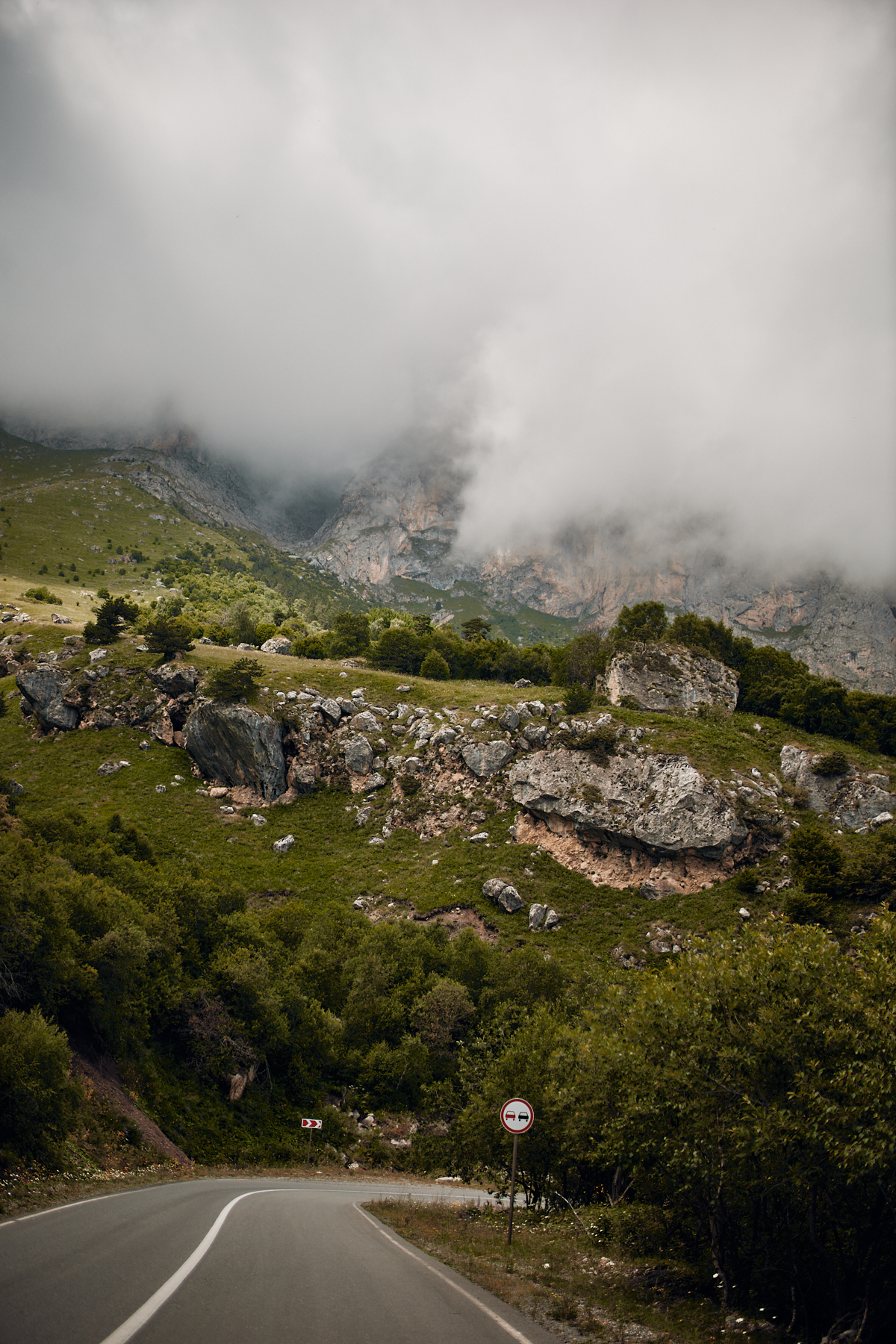 In the vastness of Ingushetia and North Ossetia - My, The photo, Landscape, Forest, Longpost