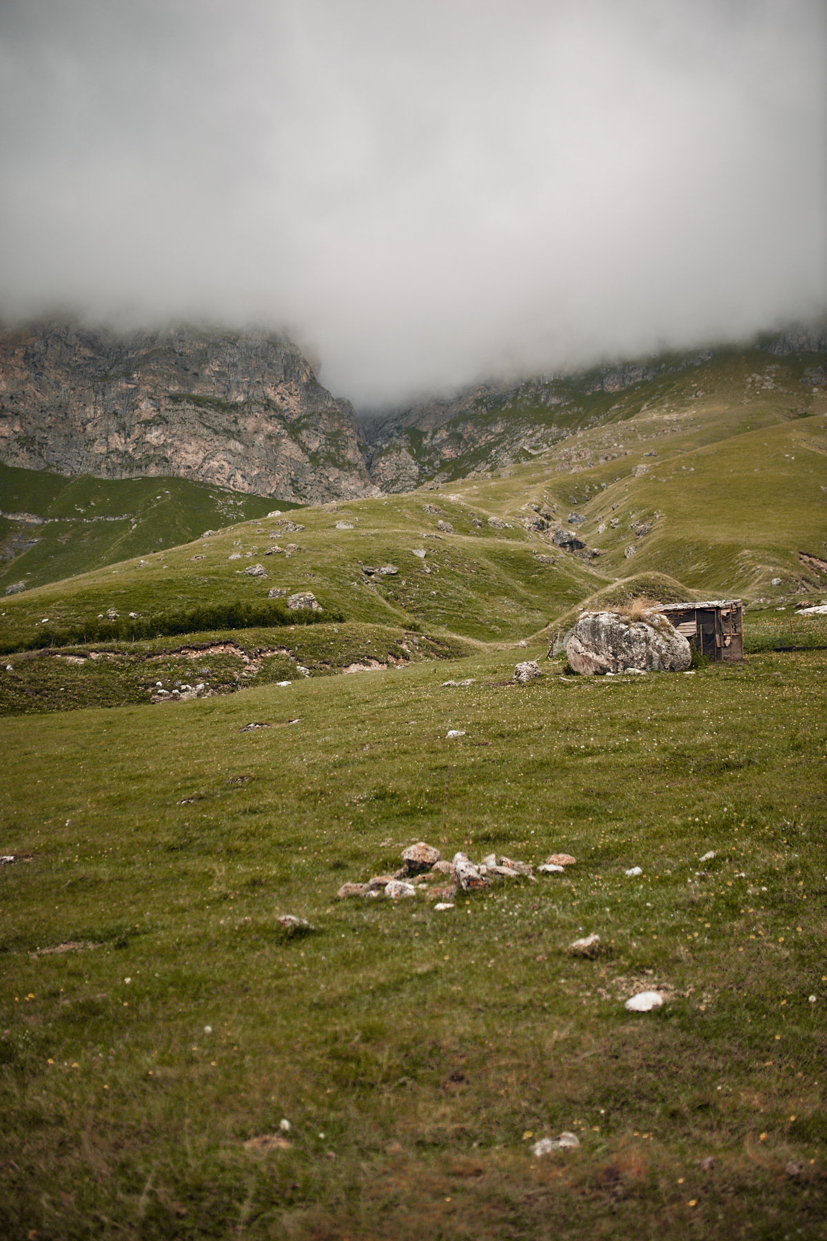 In the vastness of Ingushetia and North Ossetia - My, The photo, Landscape, Forest, Longpost