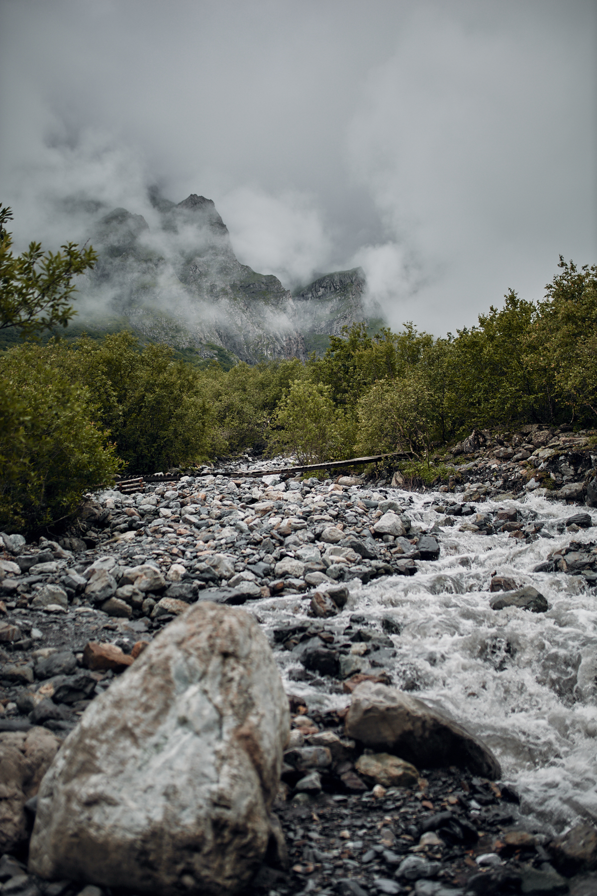 In the vastness of Ingushetia and North Ossetia - My, The photo, Landscape, Forest, Longpost