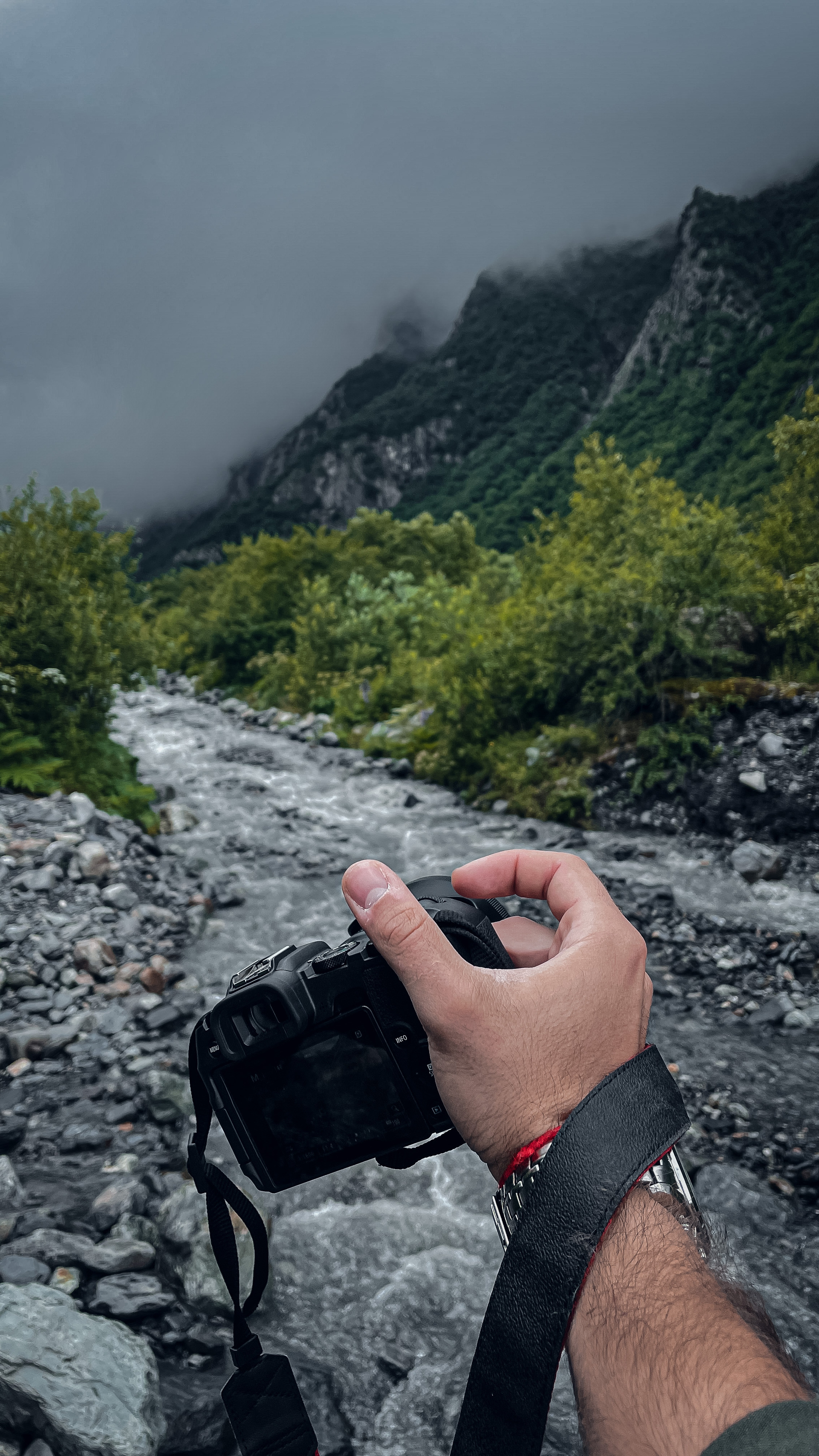 In the vastness of Ingushetia and North Ossetia - My, The photo, Landscape, Forest, Longpost