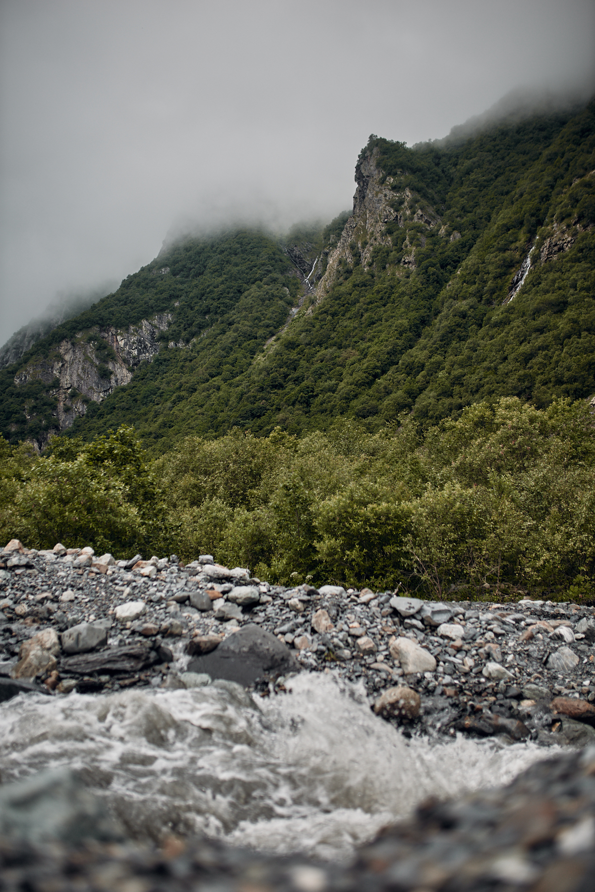 In the vastness of Ingushetia and North Ossetia - My, The photo, Landscape, Forest, Longpost