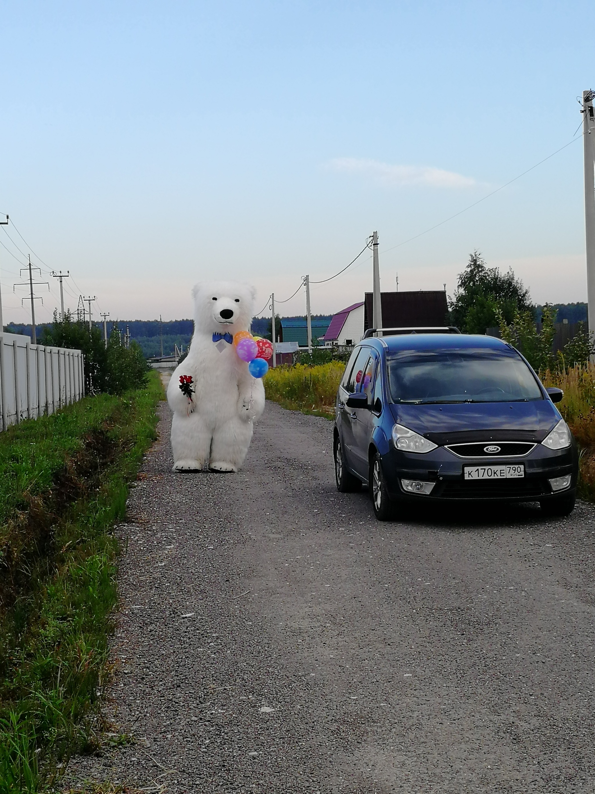 Oh you, Russian roads... - My, Mobile photography, Polar bear, Road