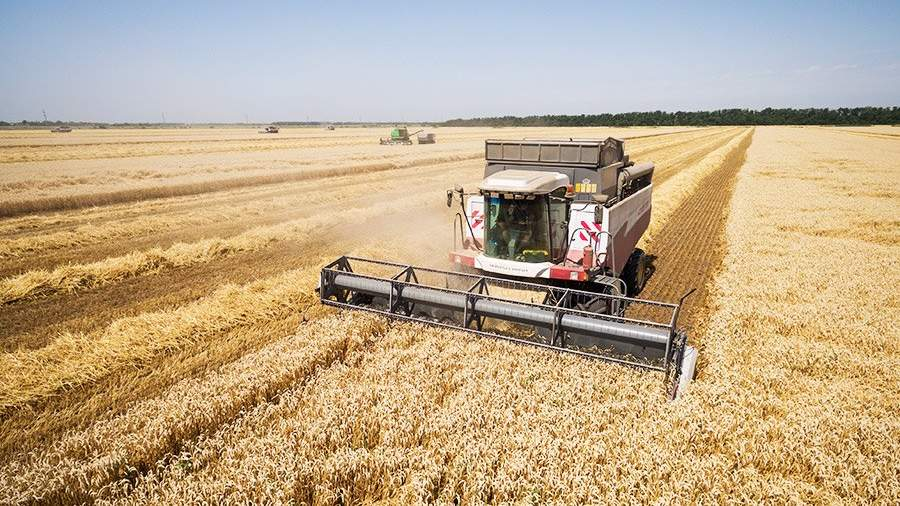 Record grain harvest in Russia - Politics, news, Russia, Harvest, Wheat