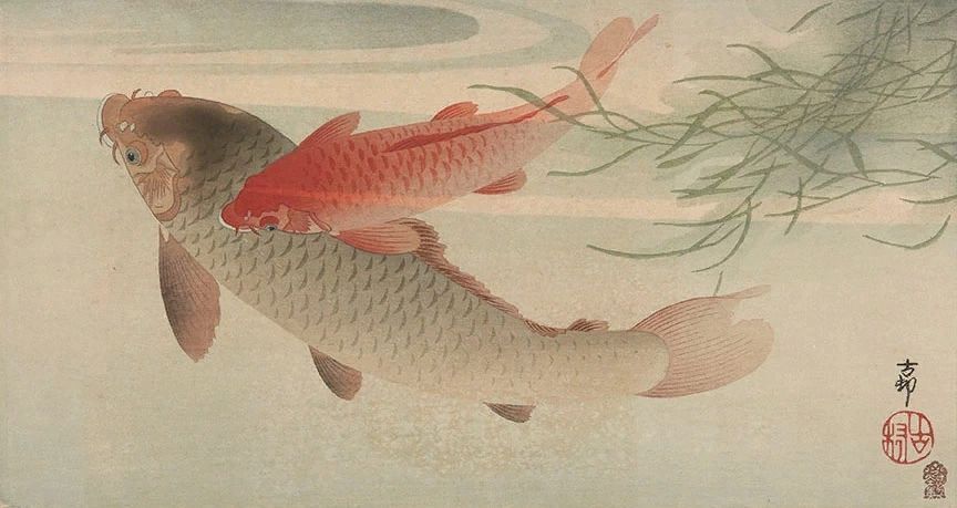 Do you catch fish? - Moto, Ural motorcycle, Fishing, Komi, Camping, Ukiyo-e, The photo