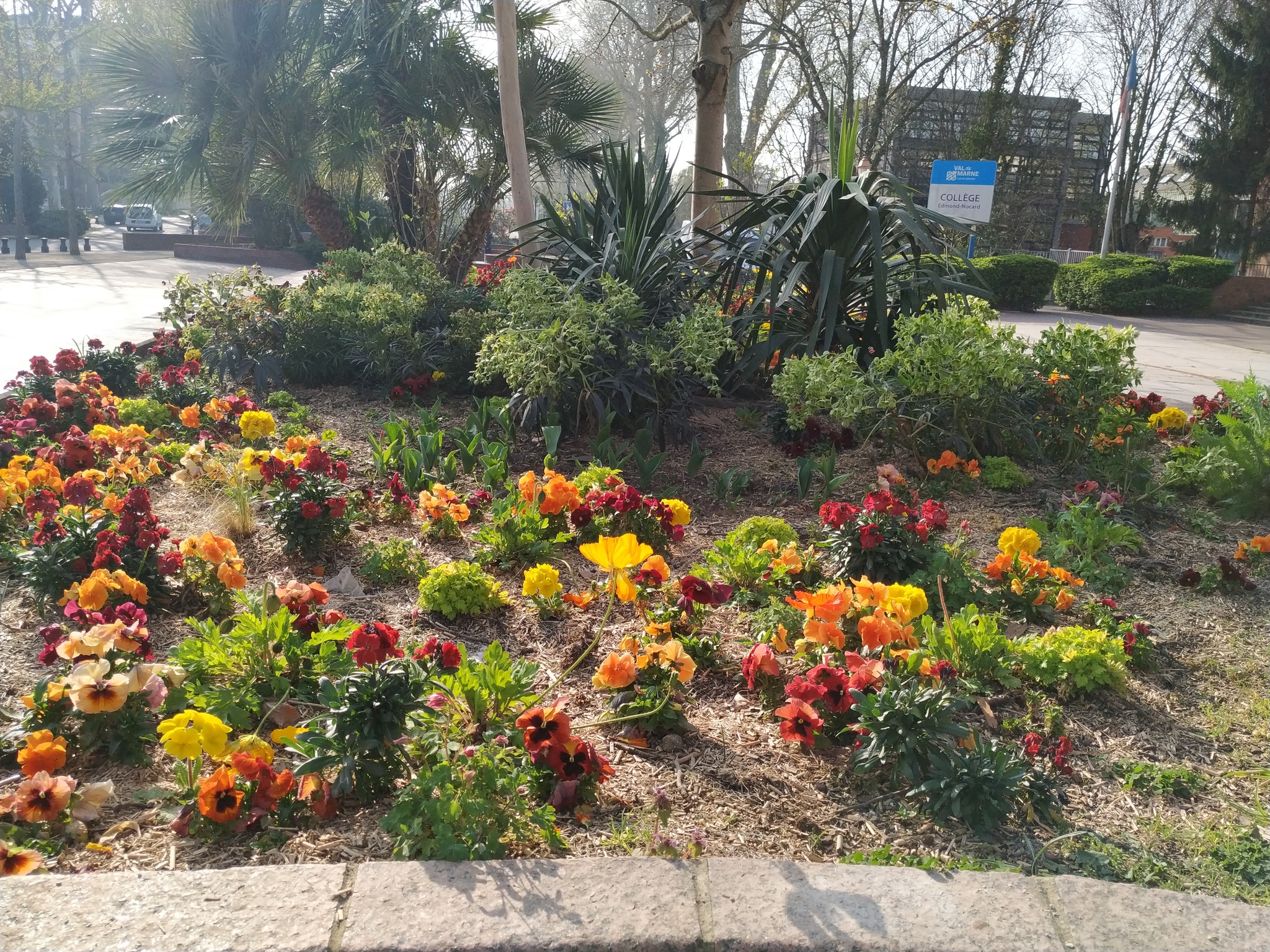 Parc Jean-Paul Belmondo - Моё, Франция, Париж, Сквер, Длиннопост