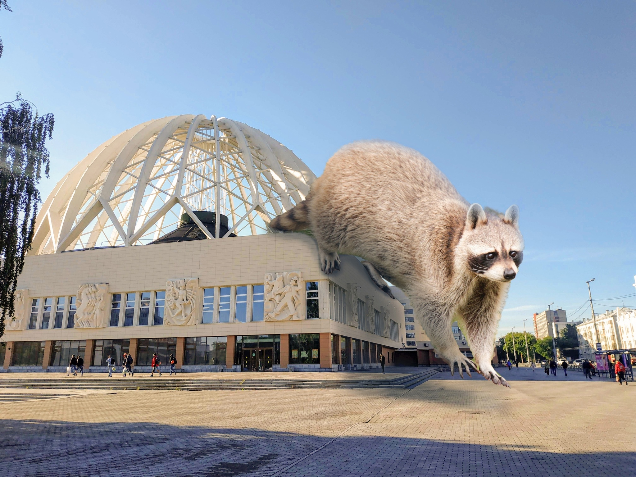 Animals and Ecb - My, Yekaterinburg, Animals, Art, The photo, Photoshop, Longpost