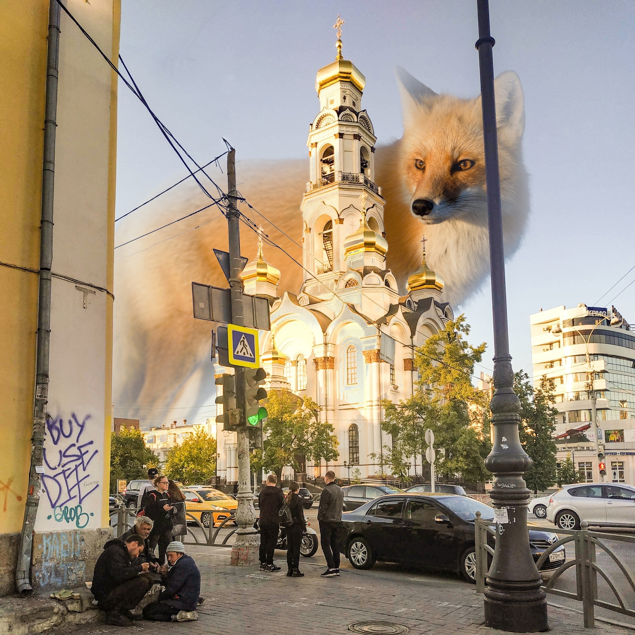 Animals and Ecb - My, Yekaterinburg, Animals, Art, The photo, Photoshop, Longpost