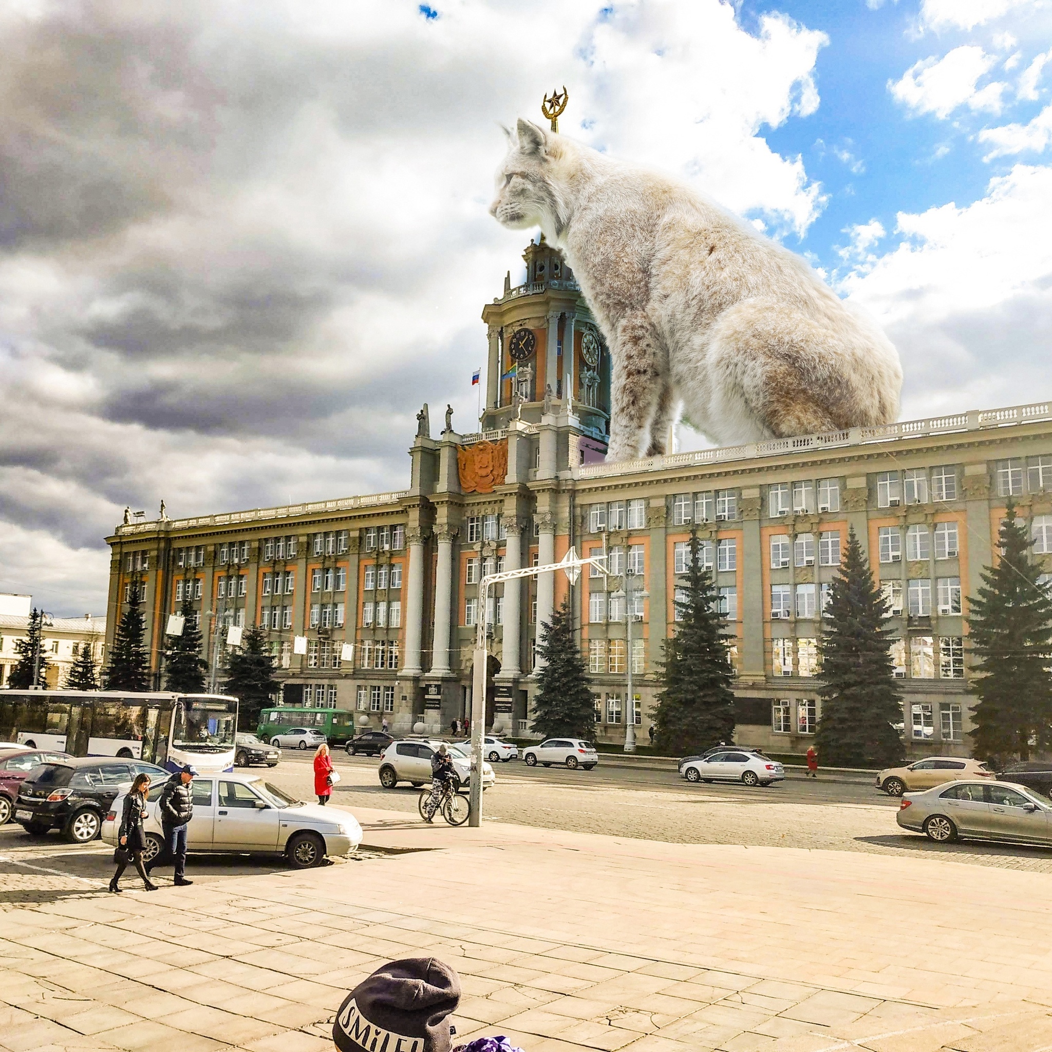 Animals and Ecb - My, Yekaterinburg, Animals, Art, The photo, Photoshop, Longpost