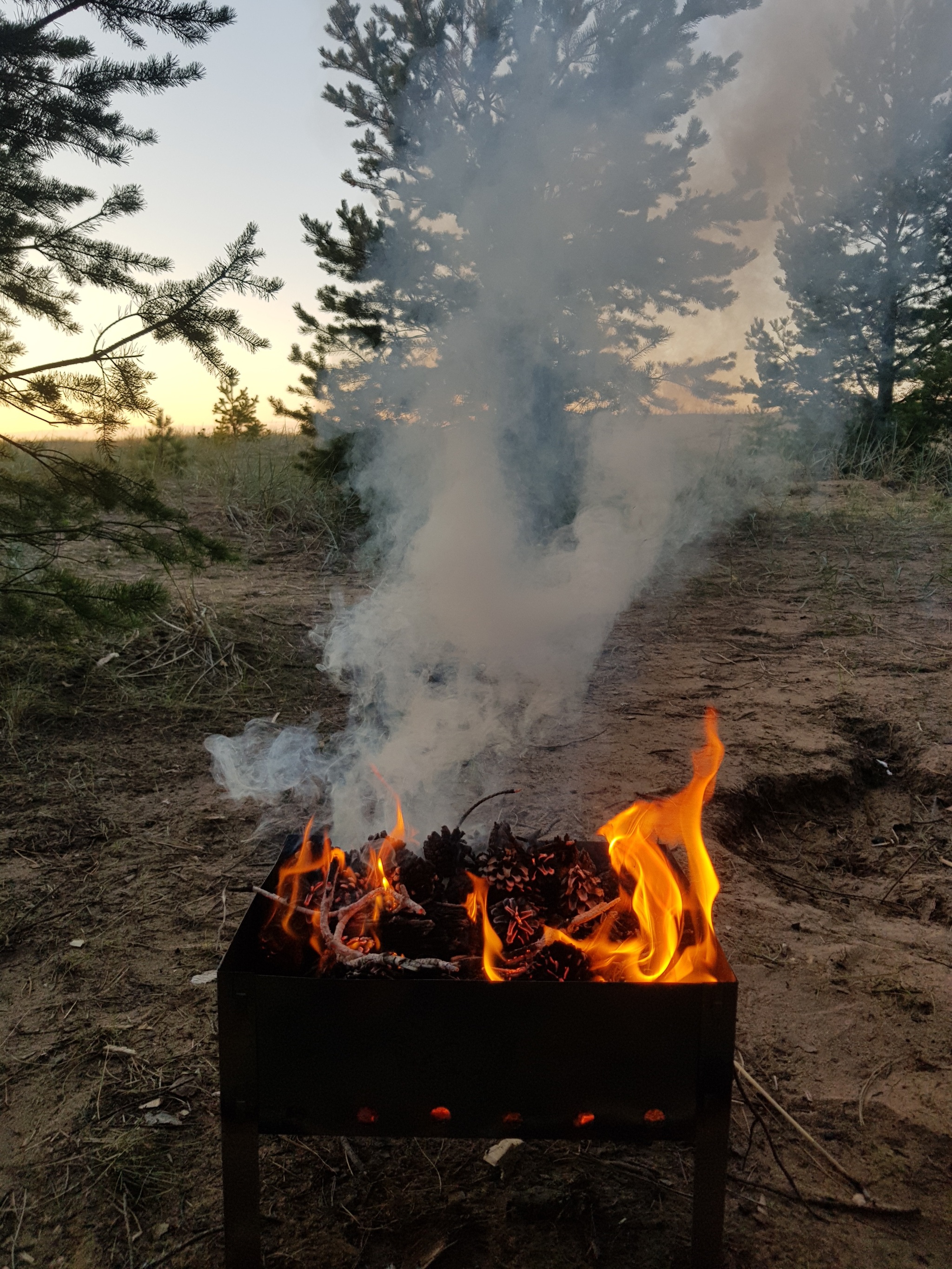 PVD on the beach in Bolshaya Izhora - My, A bike, Shashlik, Meat, PVD, Hike, Beach, Tent, Doshirak, Nature, Calmness, Longpost, Saint Petersburg