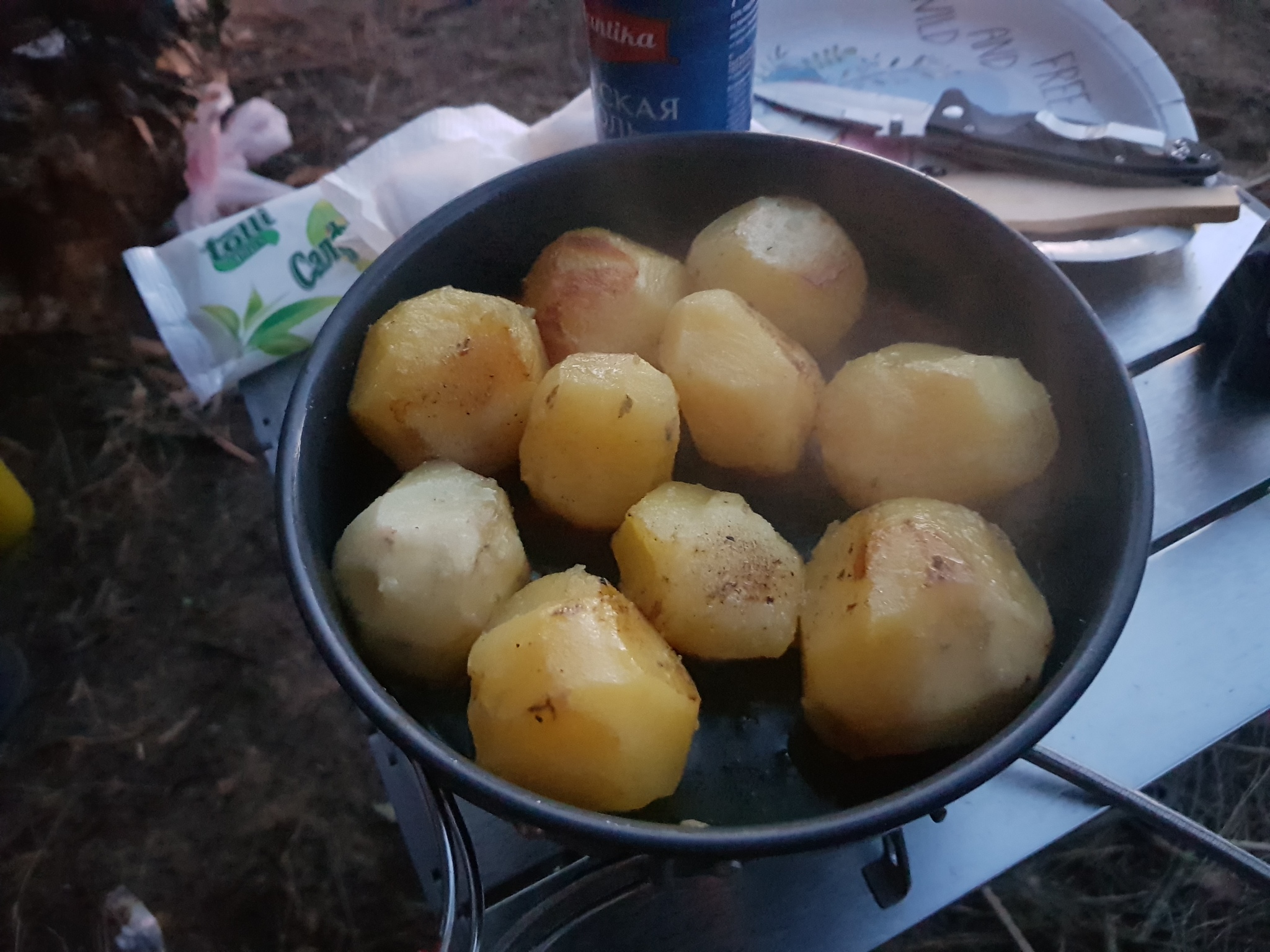 PVD on the beach in Bolshaya Izhora - My, A bike, Shashlik, Meat, PVD, Hike, Beach, Tent, Doshirak, Nature, Calmness, Longpost, Saint Petersburg