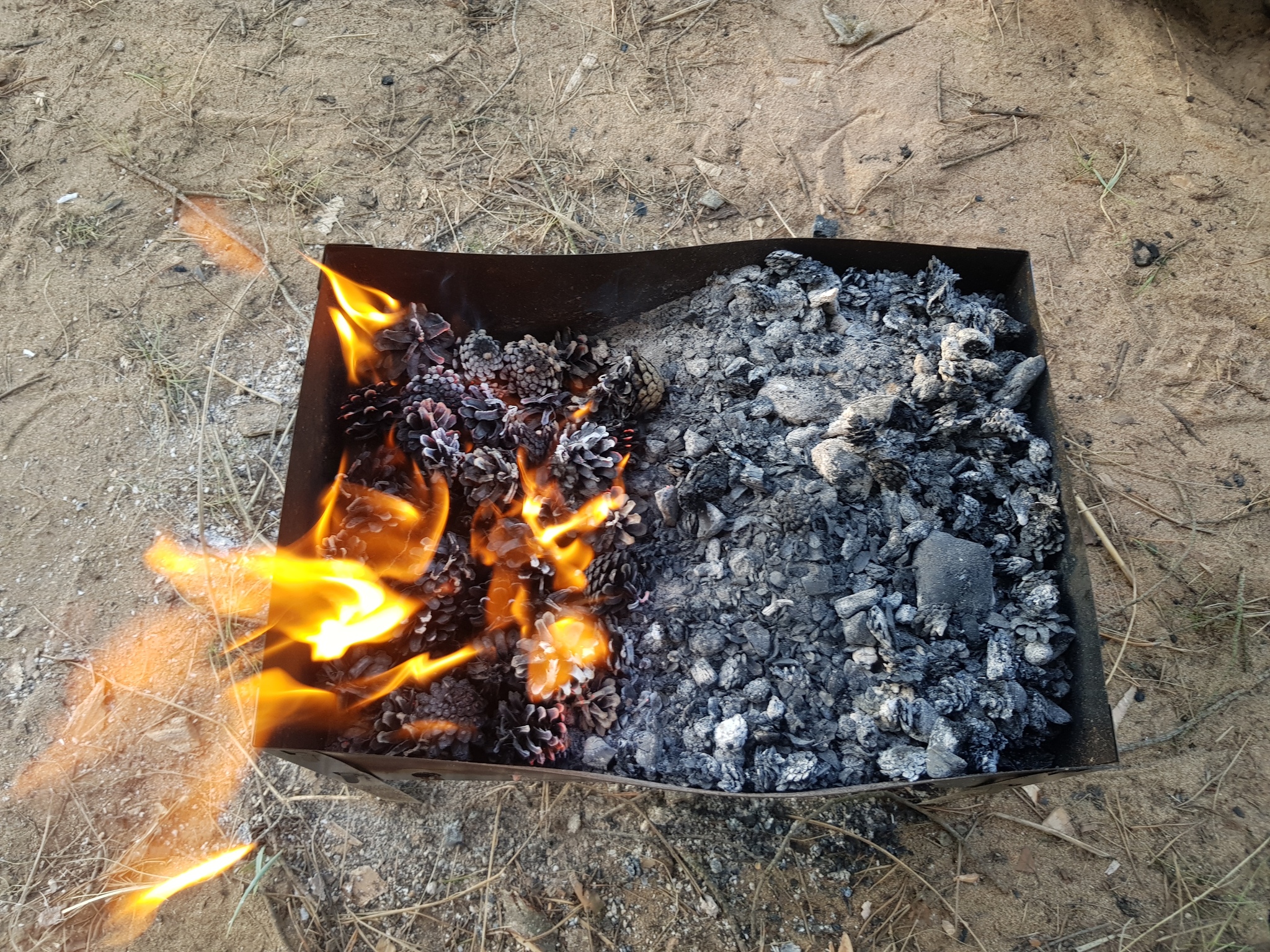 PVD on the beach in Bolshaya Izhora - My, A bike, Shashlik, Meat, PVD, Hike, Beach, Tent, Doshirak, Nature, Calmness, Longpost, Saint Petersburg